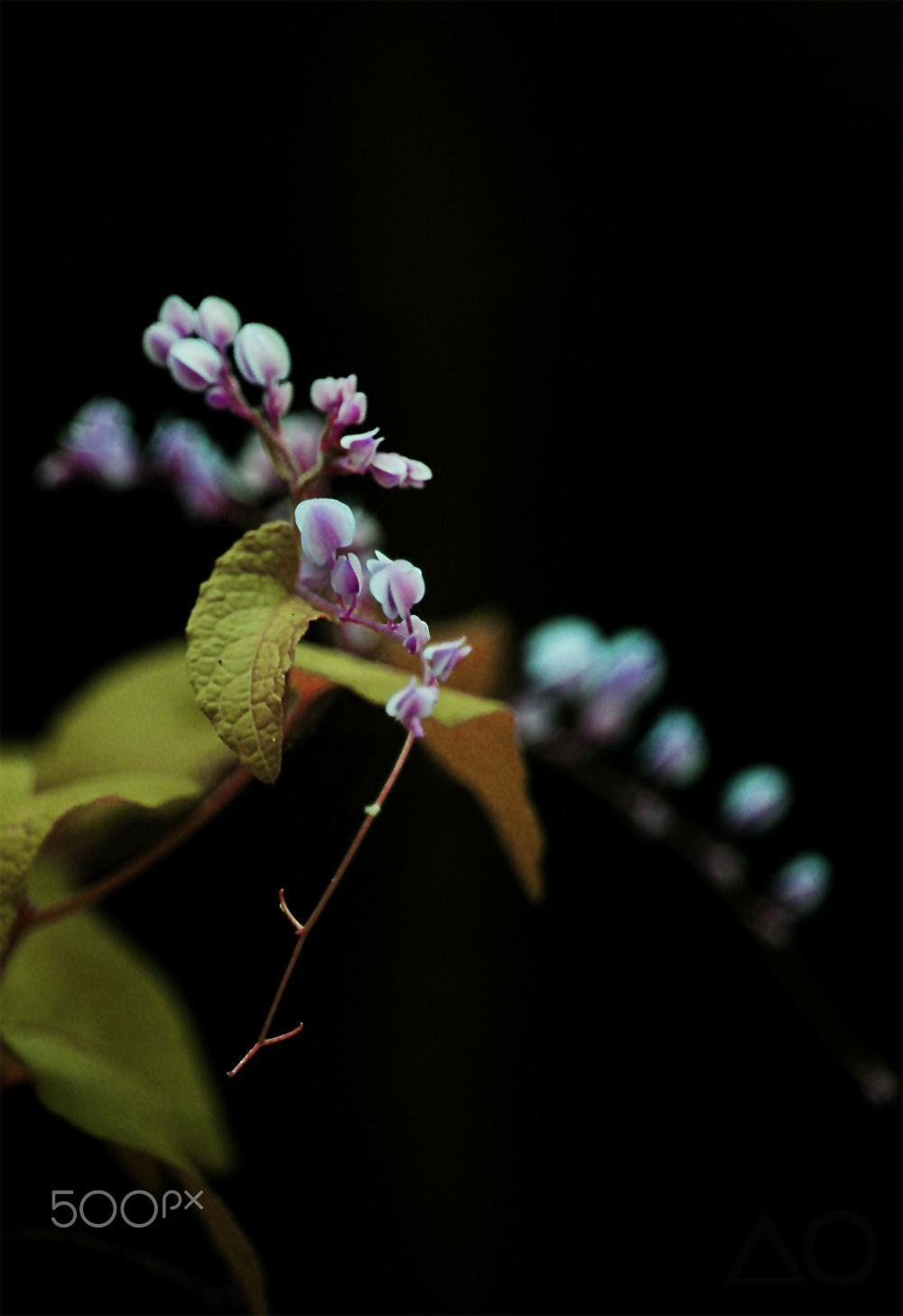 Canon EF-S 55-250mm F4-5.6 IS STM sample photo. One by one photography