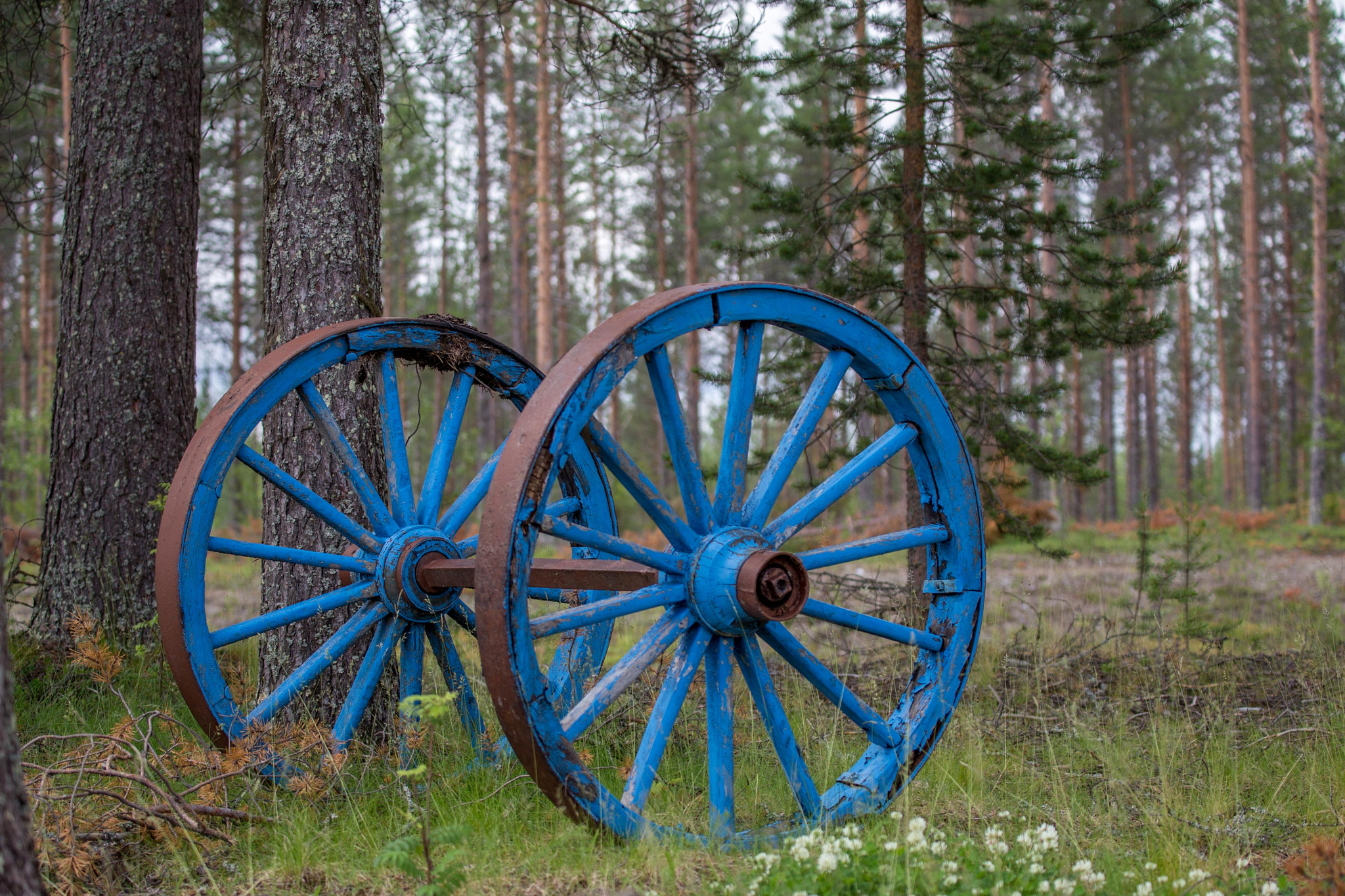 Canon EOS 6D sample photo. Old wheels photography