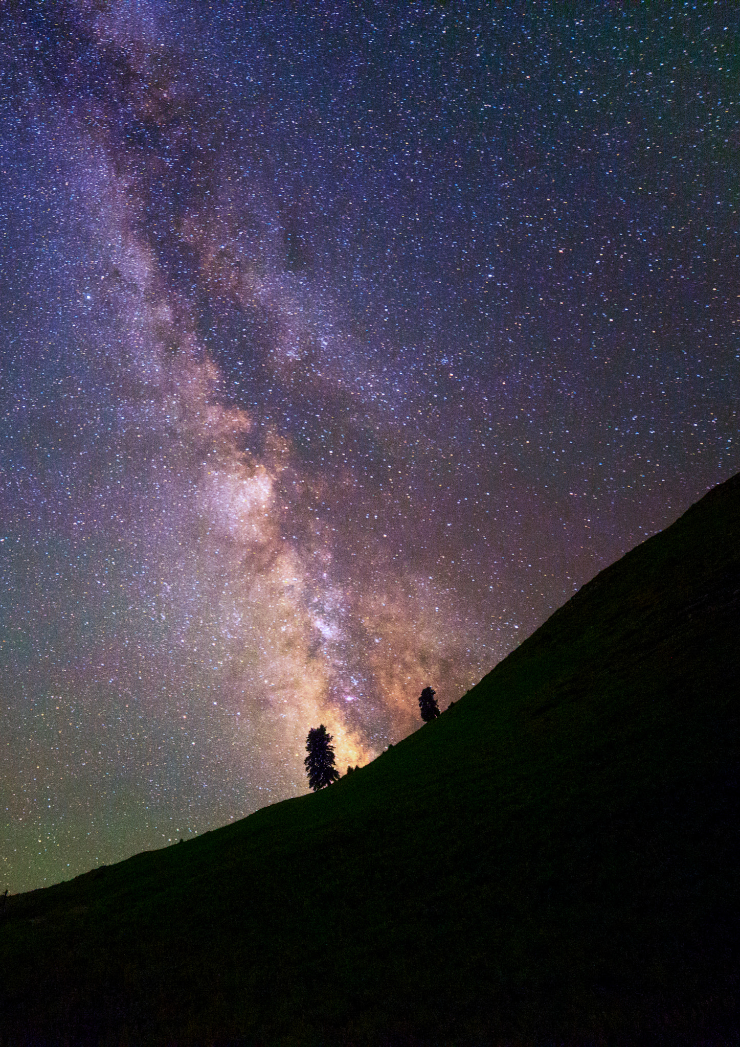 Samyang 14mm F2.8 ED AS IF UMC sample photo. Galloping in the mountains.. photography