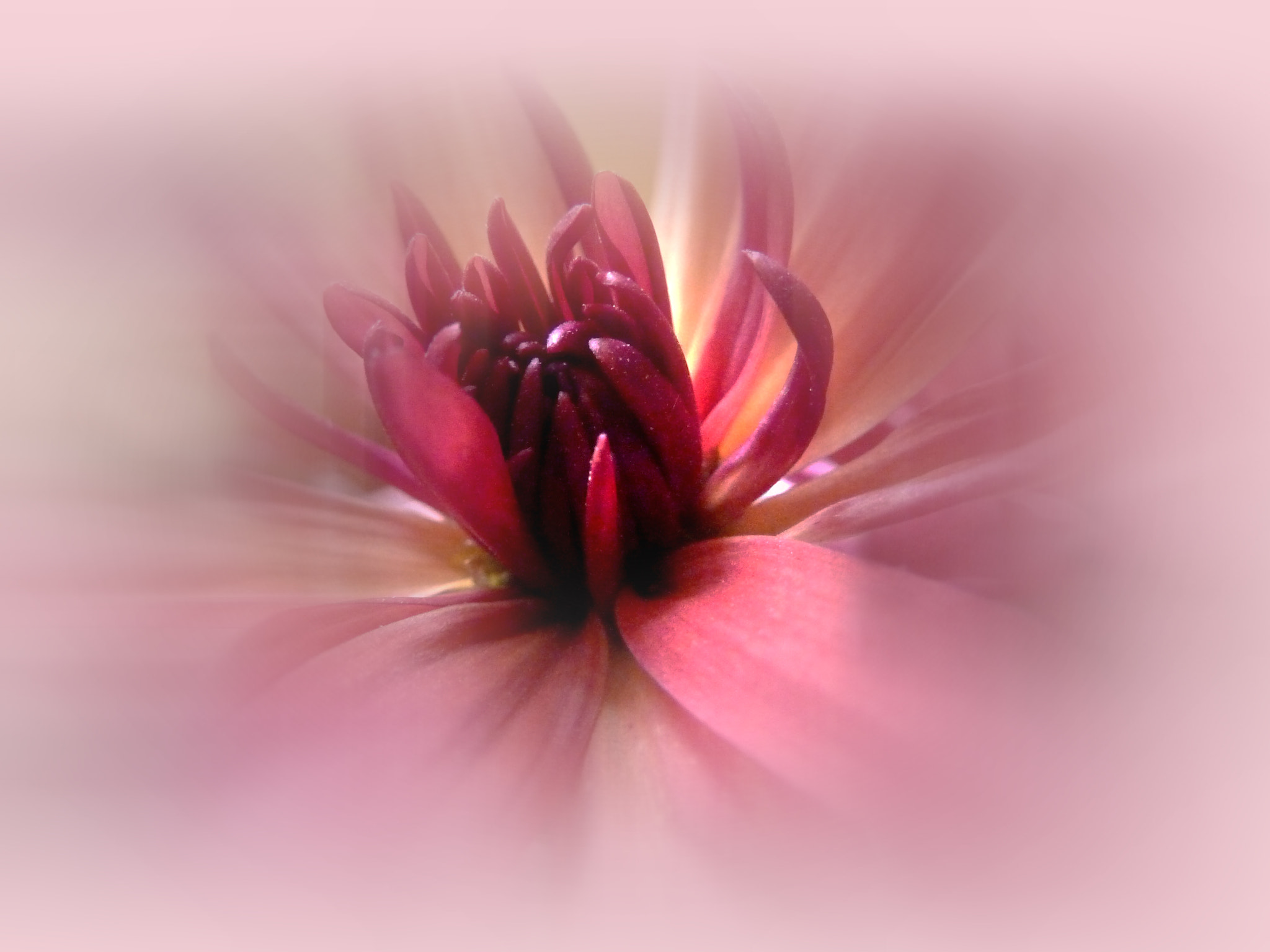 Panasonic Lumix DMC-ZS5 (Lumix DMC-TZ8) sample photo. Natura siempre photography
