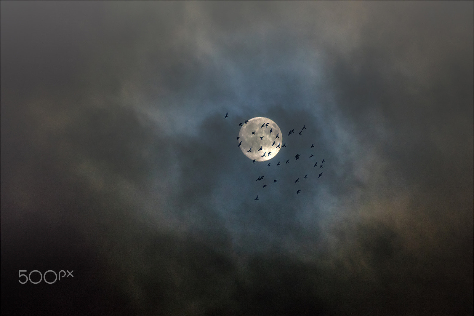 Canon EF 100-400mm F4.5-5.6L IS USM sample photo. Melancholy of the moon photography