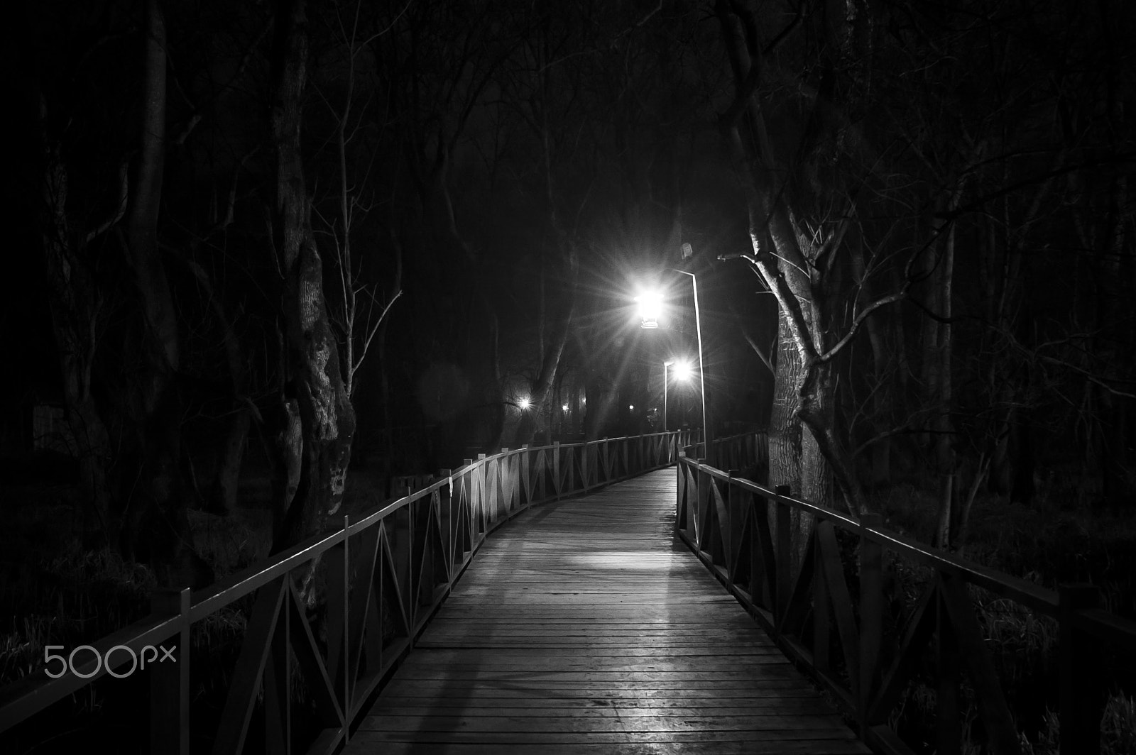 Nikon D70s sample photo. The darkness ..b&w photography