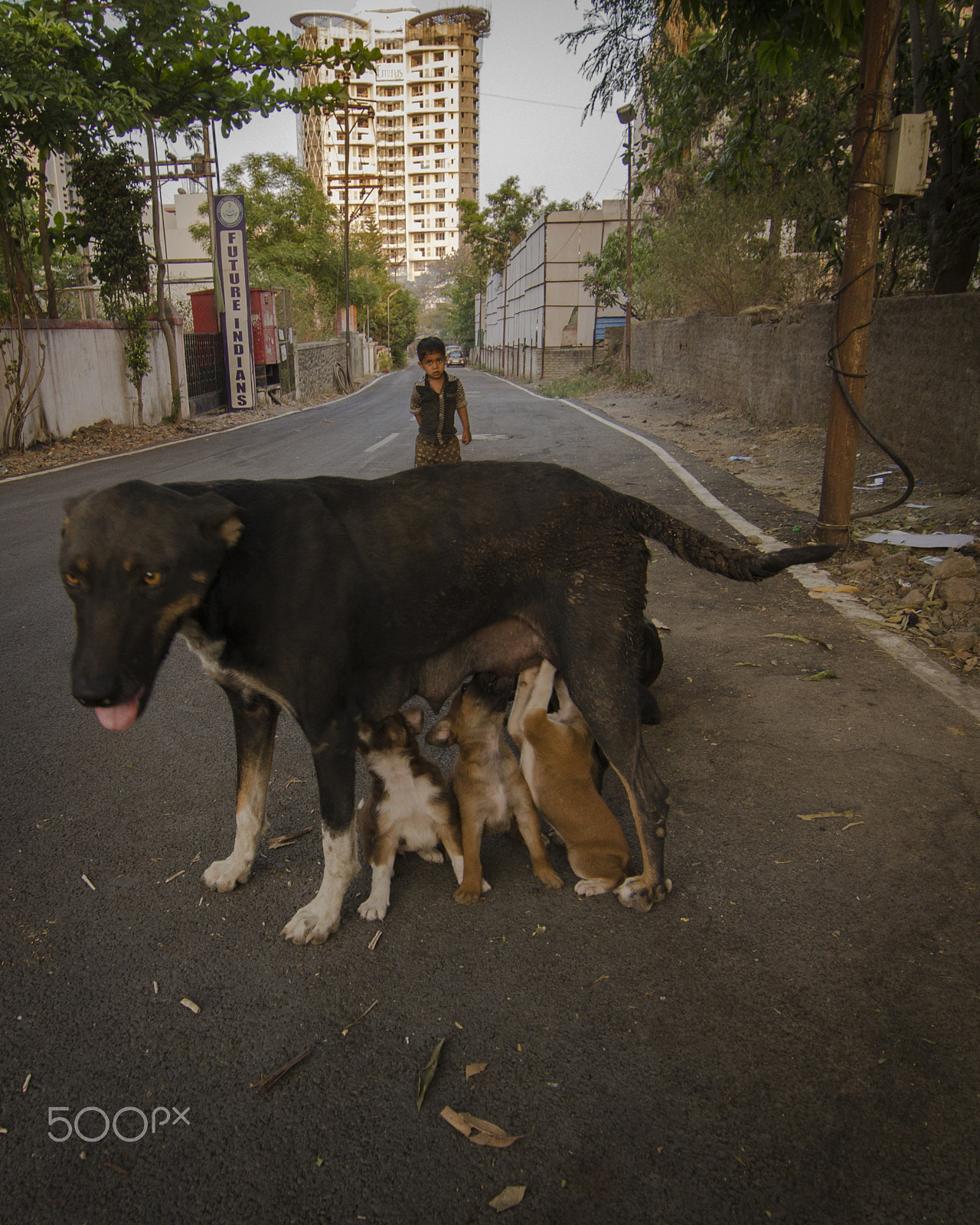 Tokina AT-X Pro 11-16mm F2.8 DX sample photo. Future indians photography