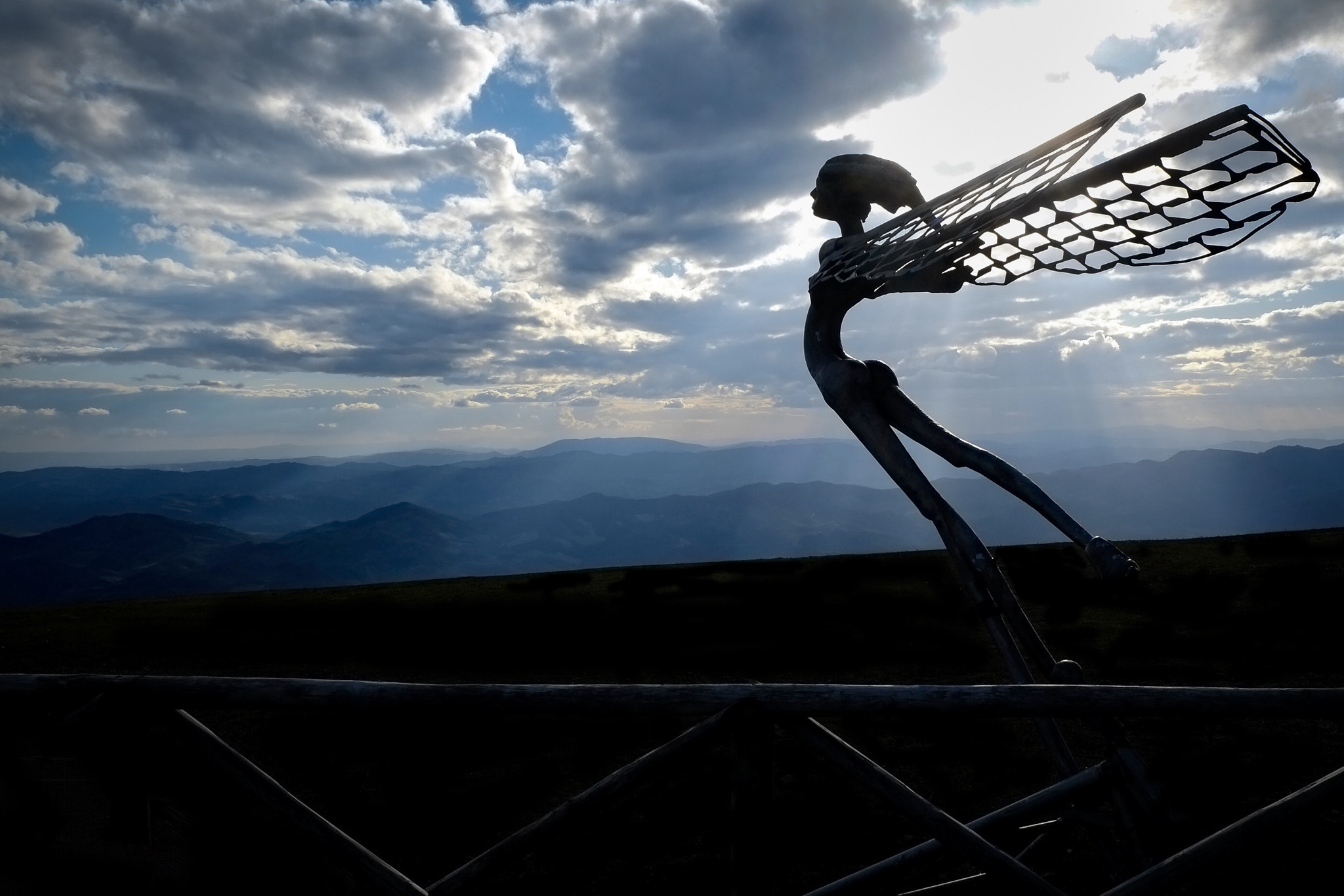 Fujifilm X-Pro1 + Fujifilm XF 18-55mm F2.8-4 R LM OIS sample photo. Dreaming to fly photography