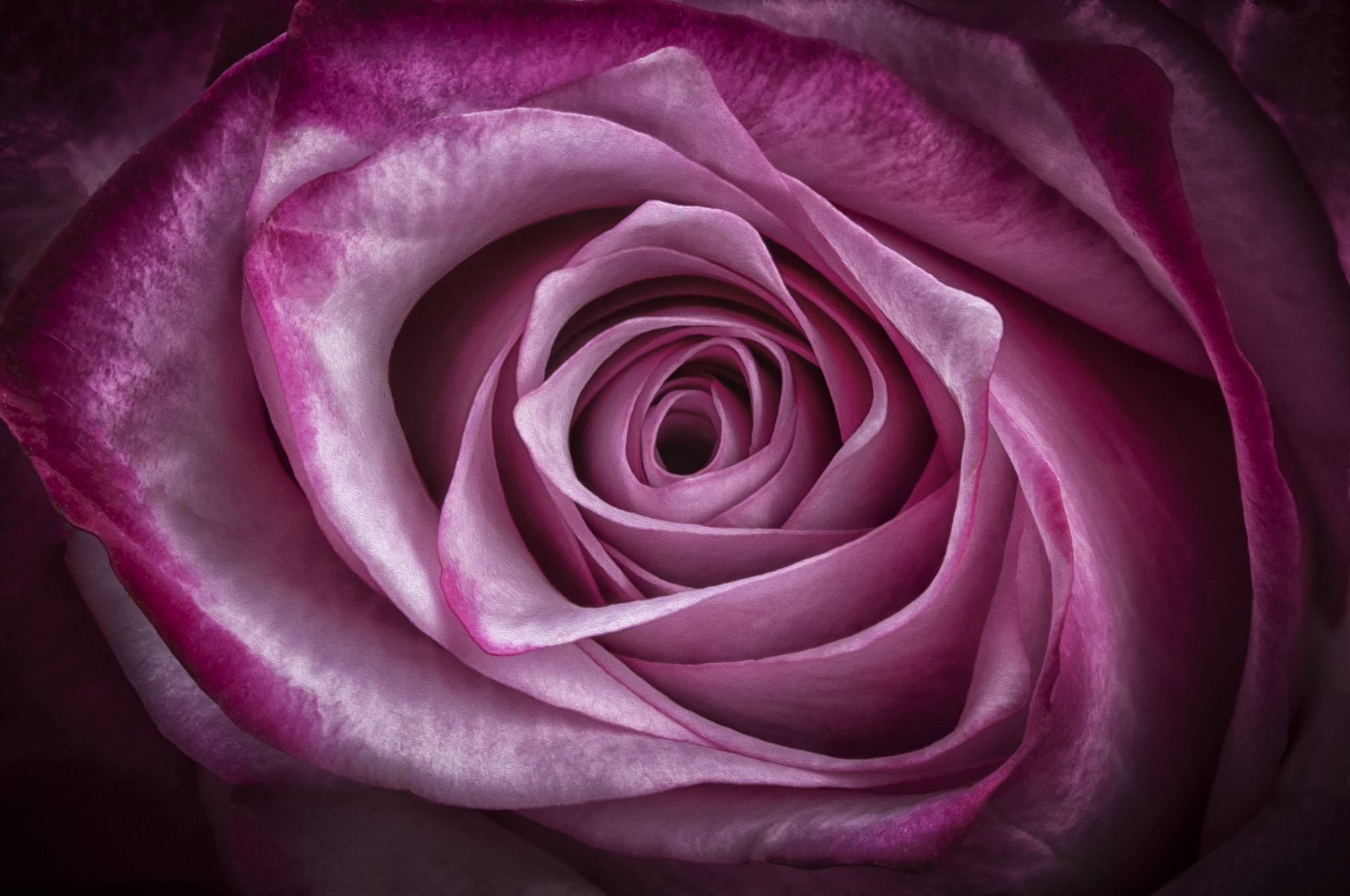 Canon EF 100mm F2.8L Macro IS USM sample photo. Beautiful inside photography