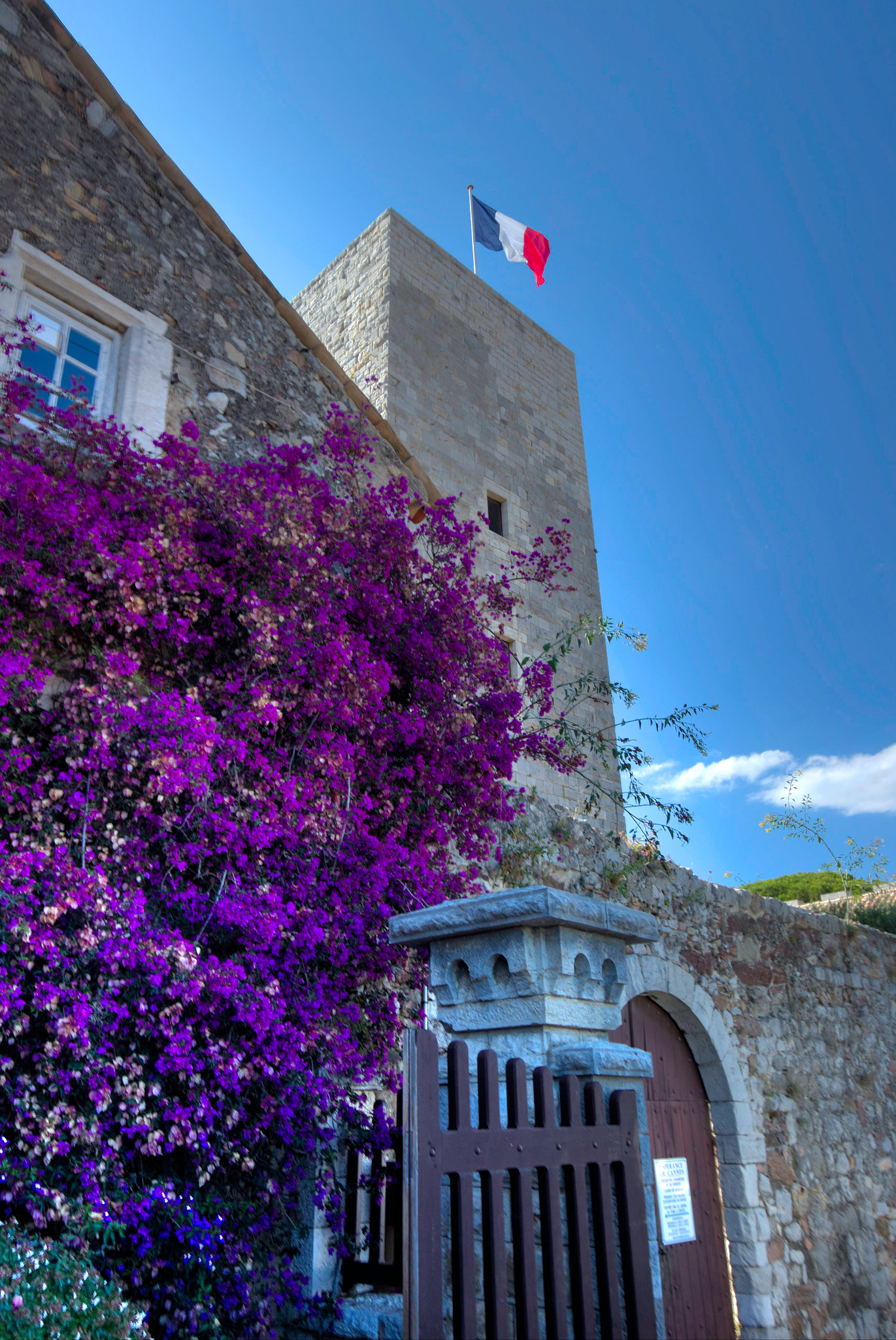 Canon EF-S 10-22mm F3.5-4.5 USM sample photo. Cannes, castle photography