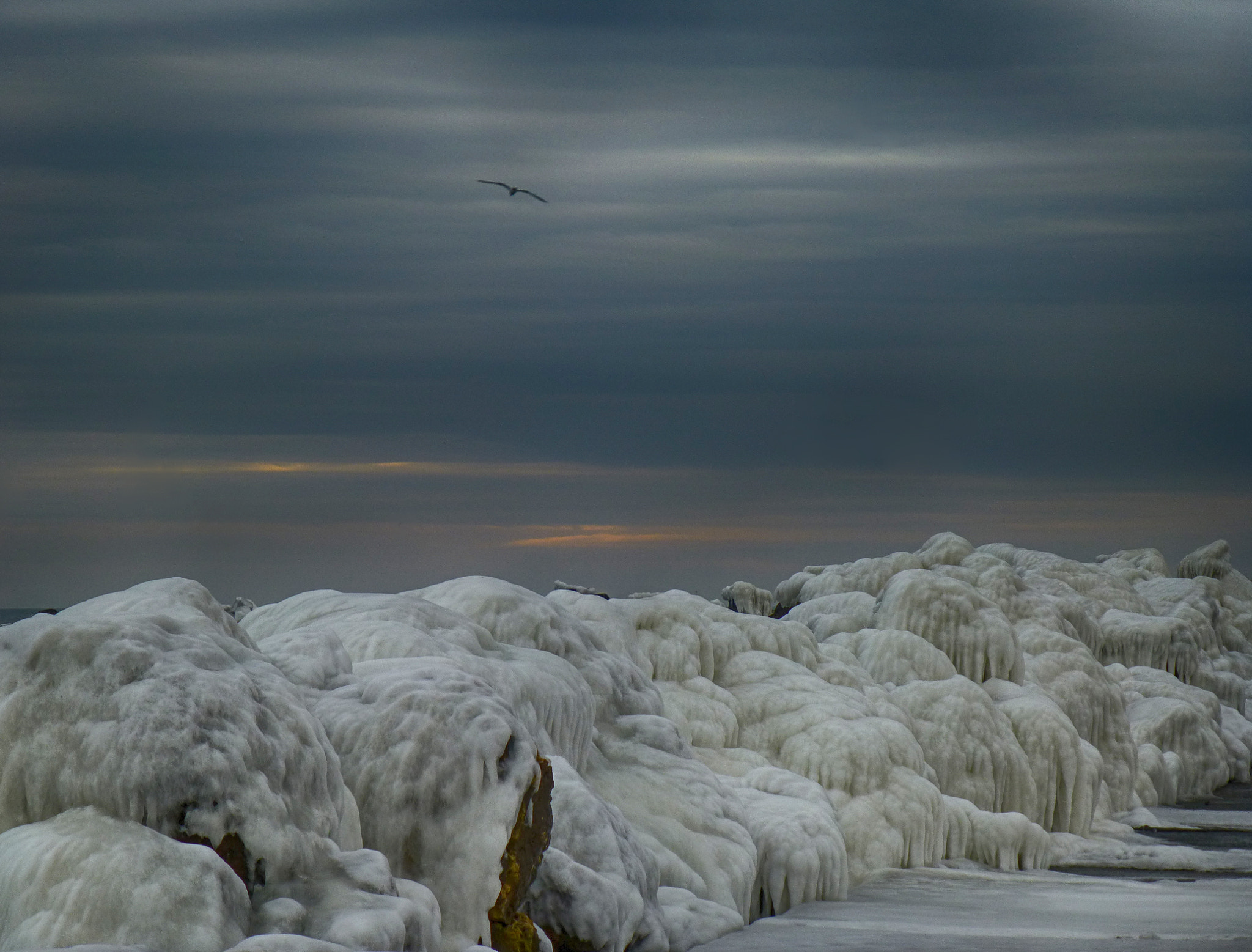 Panasonic Lumix DMC-ZS20 (Lumix DMC-TZ30) sample photo. Arctic flight photography