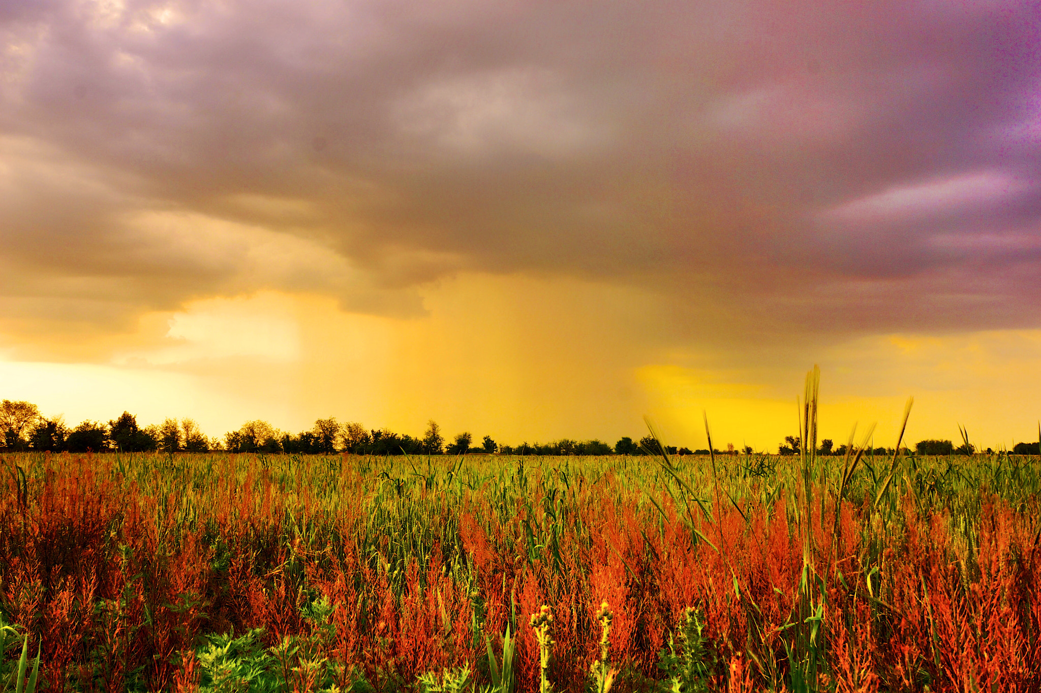 Sony Alpha NEX-7 + Sony E 18-55mm F3.5-5.6 OSS sample photo. Stormy sunset photography