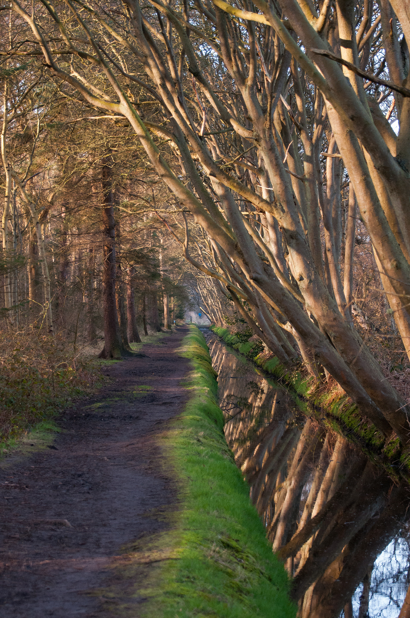 Nikon D300 sample photo. Texel photography