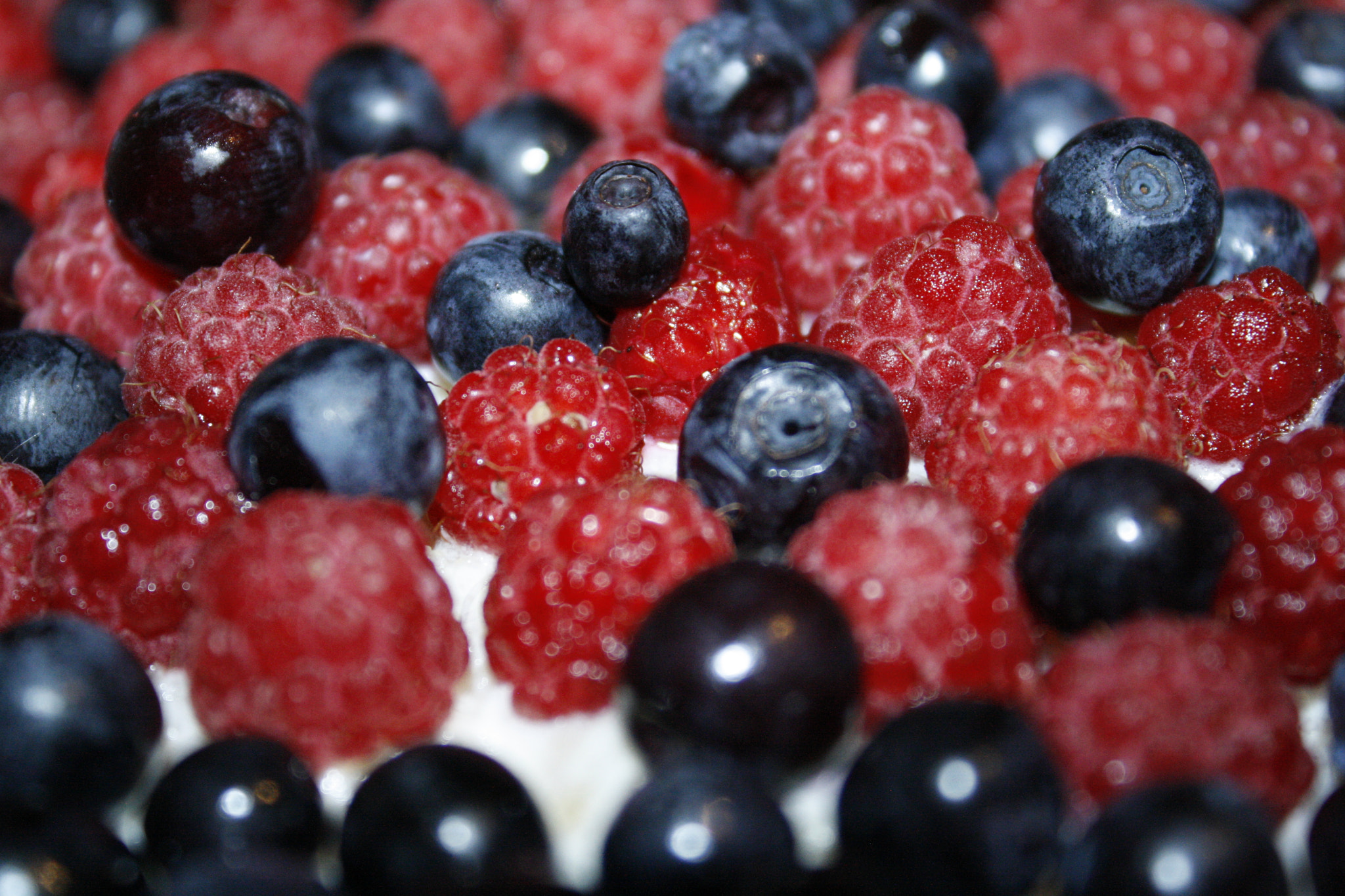 Canon EF-S 18-55mm F3.5-5.6 IS sample photo. Berries photography