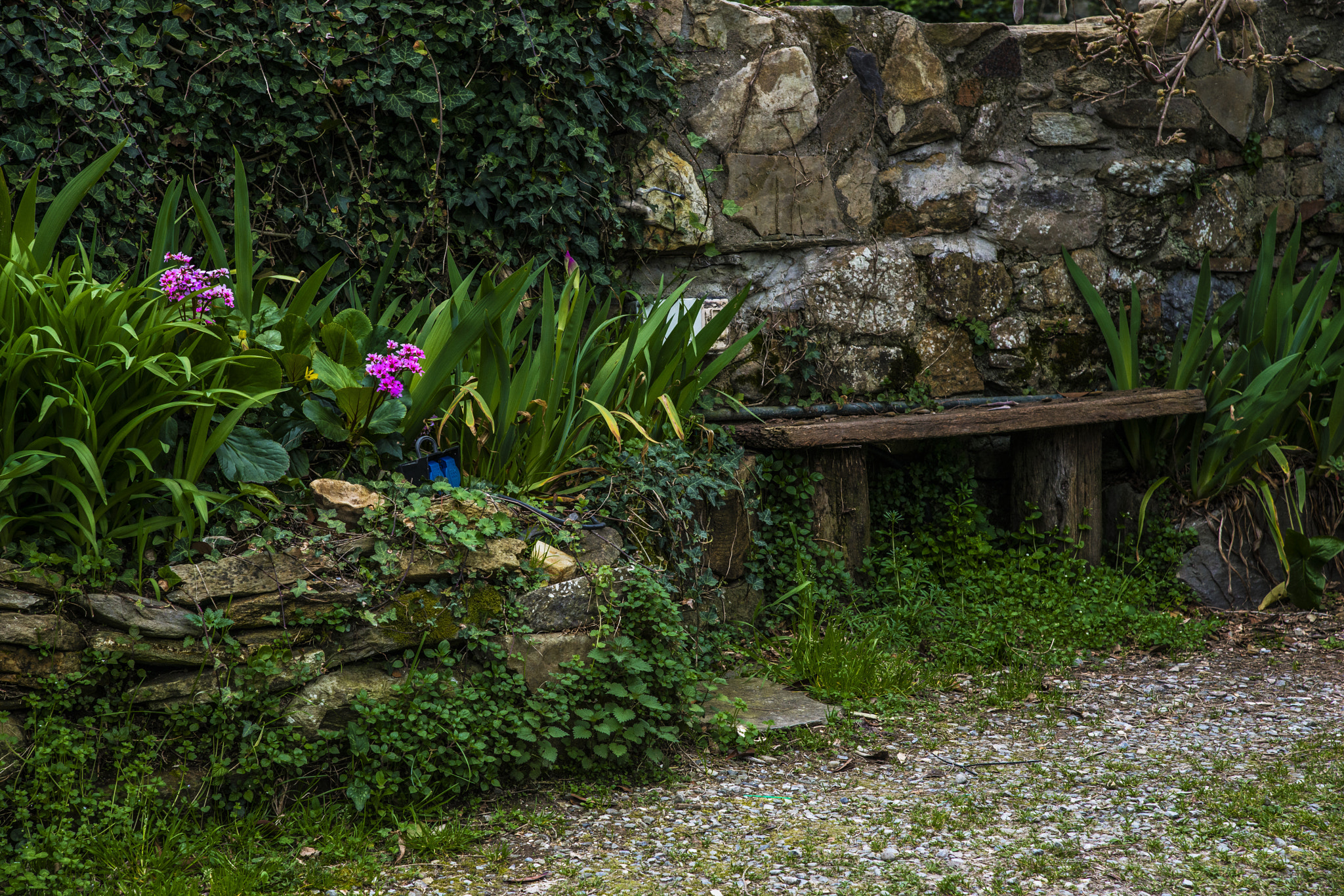 Nikon AF-S Nikkor 24-120mm F4G ED VR sample photo. The oasis photography