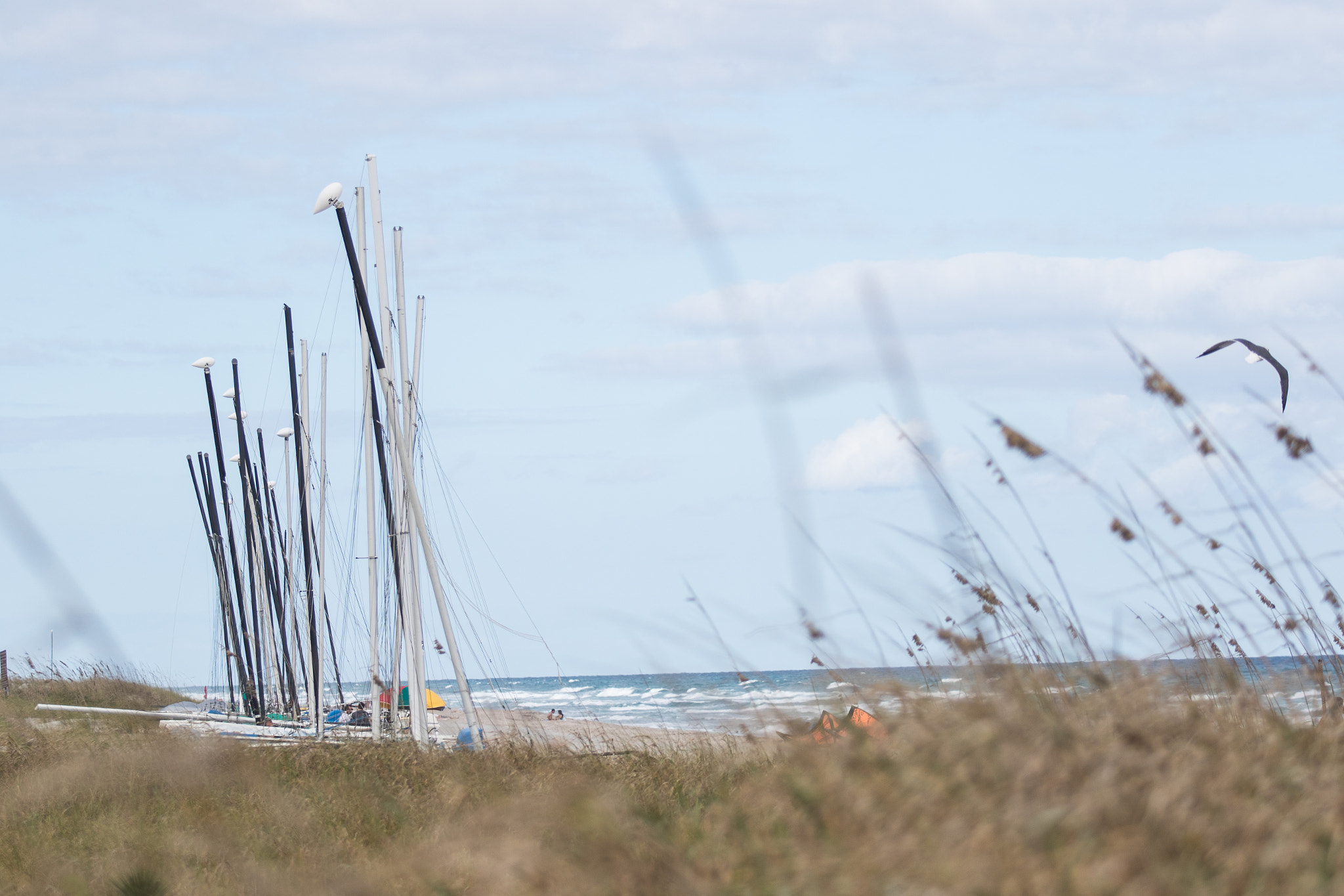 Canon EF 70-200mm F2.8L USM sample photo. Waves photography