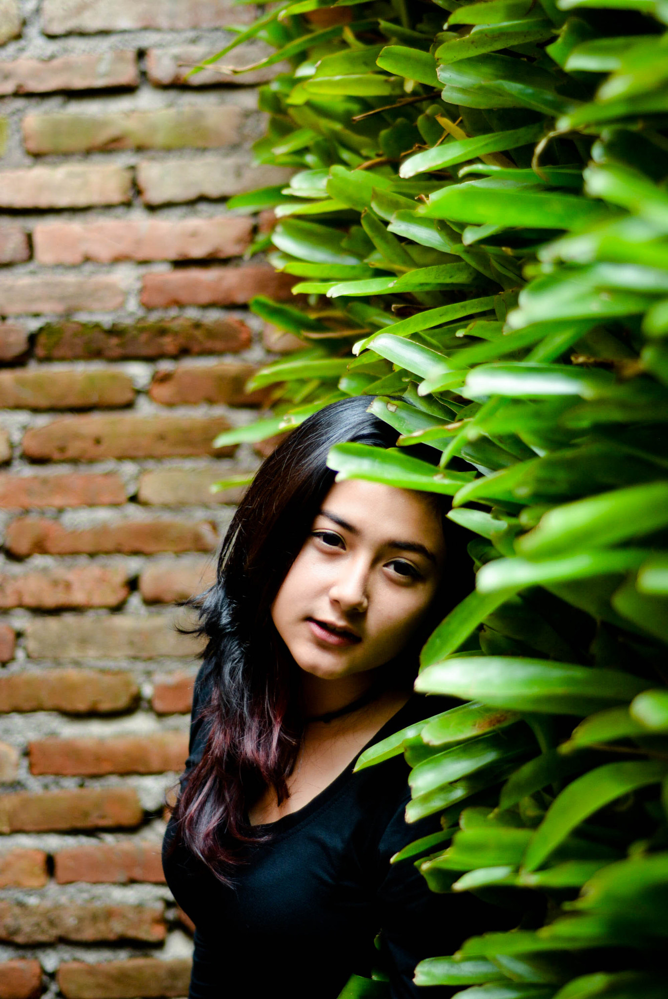 Nikon D5200 + Nikon AF Nikkor 50mm F1.8D sample photo