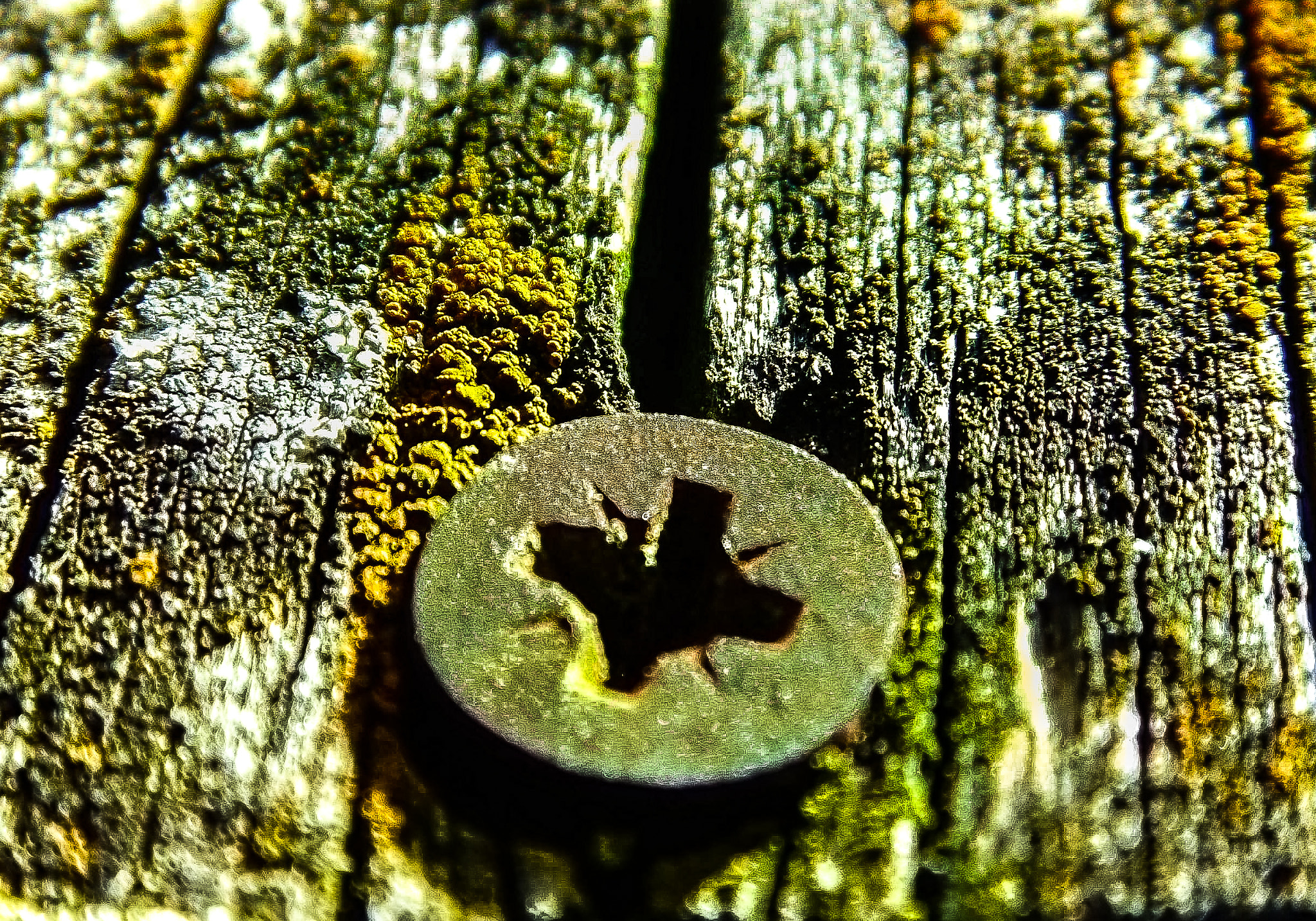 Samsung WB100/  WB101 sample photo. |o| photography