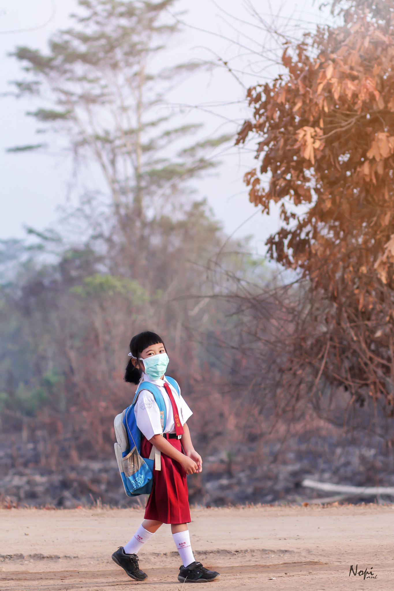 Canon EOS 60D + Canon EF 85mm F1.8 USM sample photo. Borneo forest fires photography