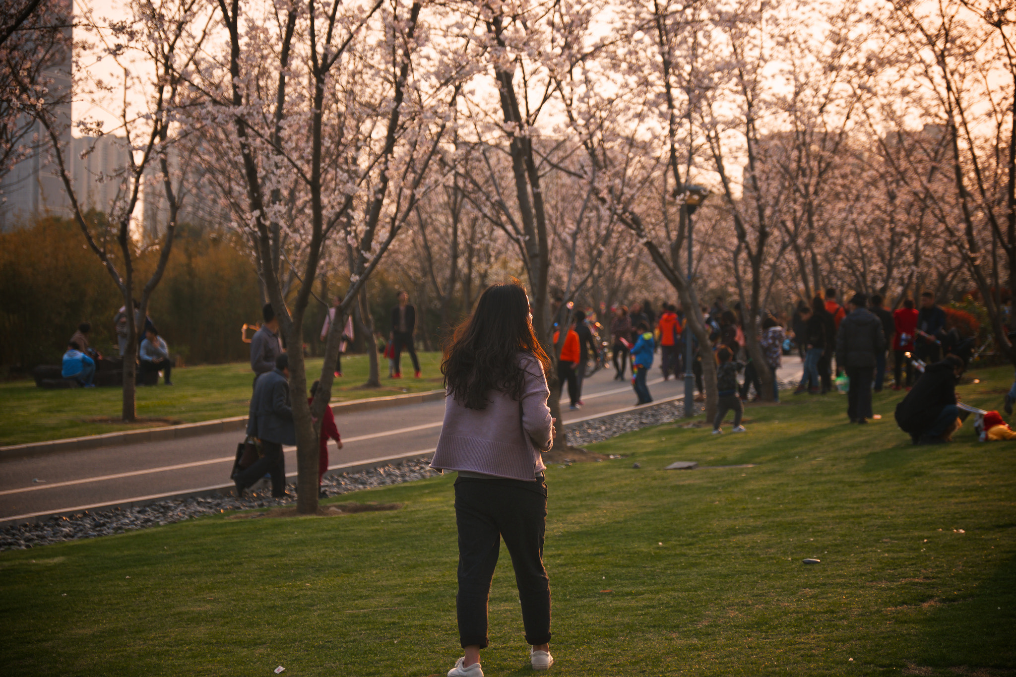 Fujifilm X-T1 + Fujifilm XF 16-55mm F2.8 R LM WR sample photo. 背影 photography