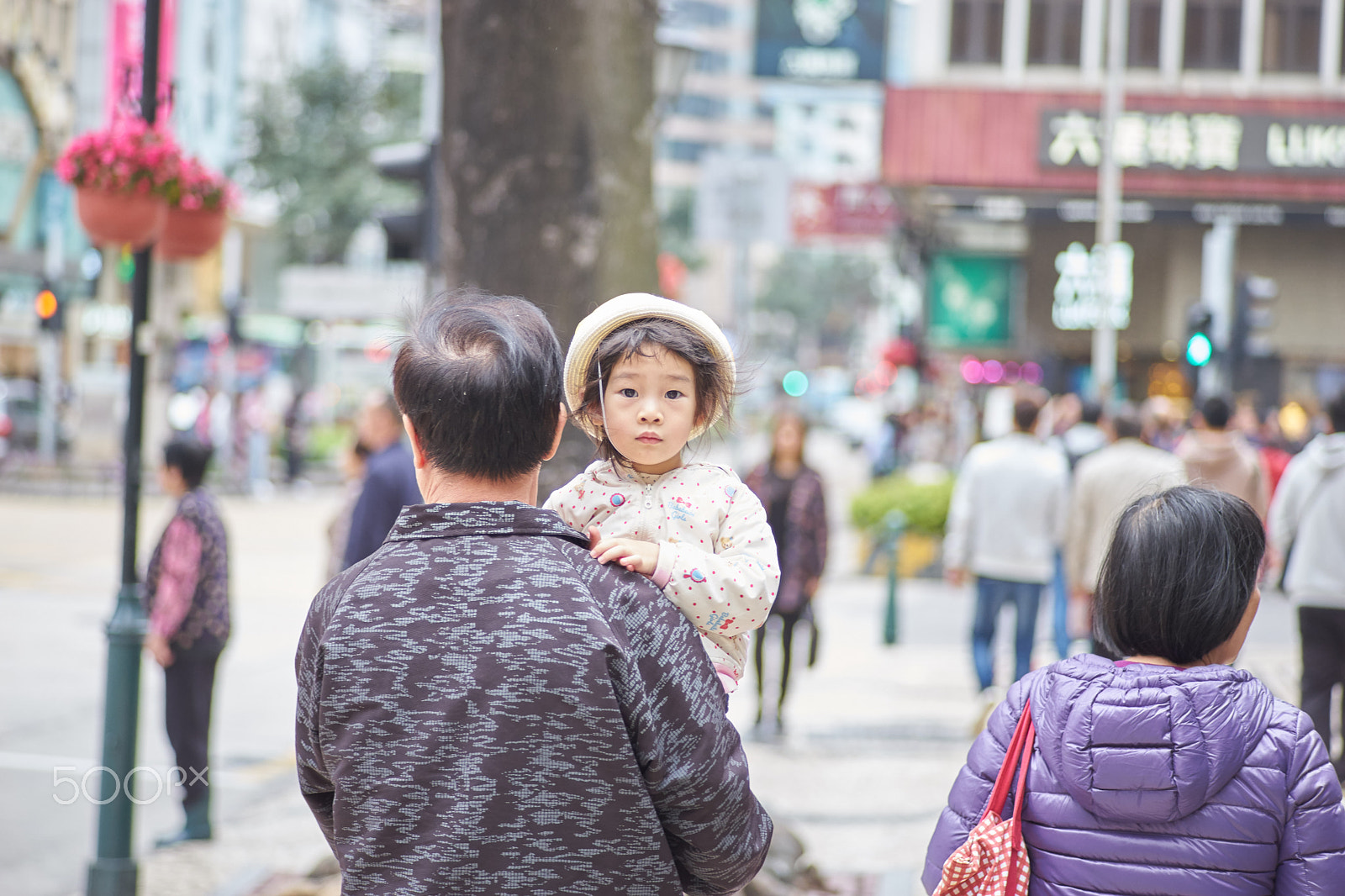 0mm F0 SAM sample photo. Sight photography