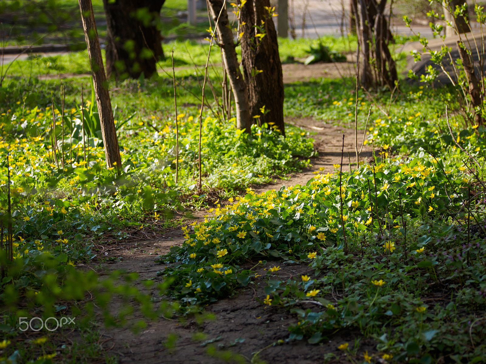 Olympus PEN E-P3 sample photo. Olympus digital camera photography