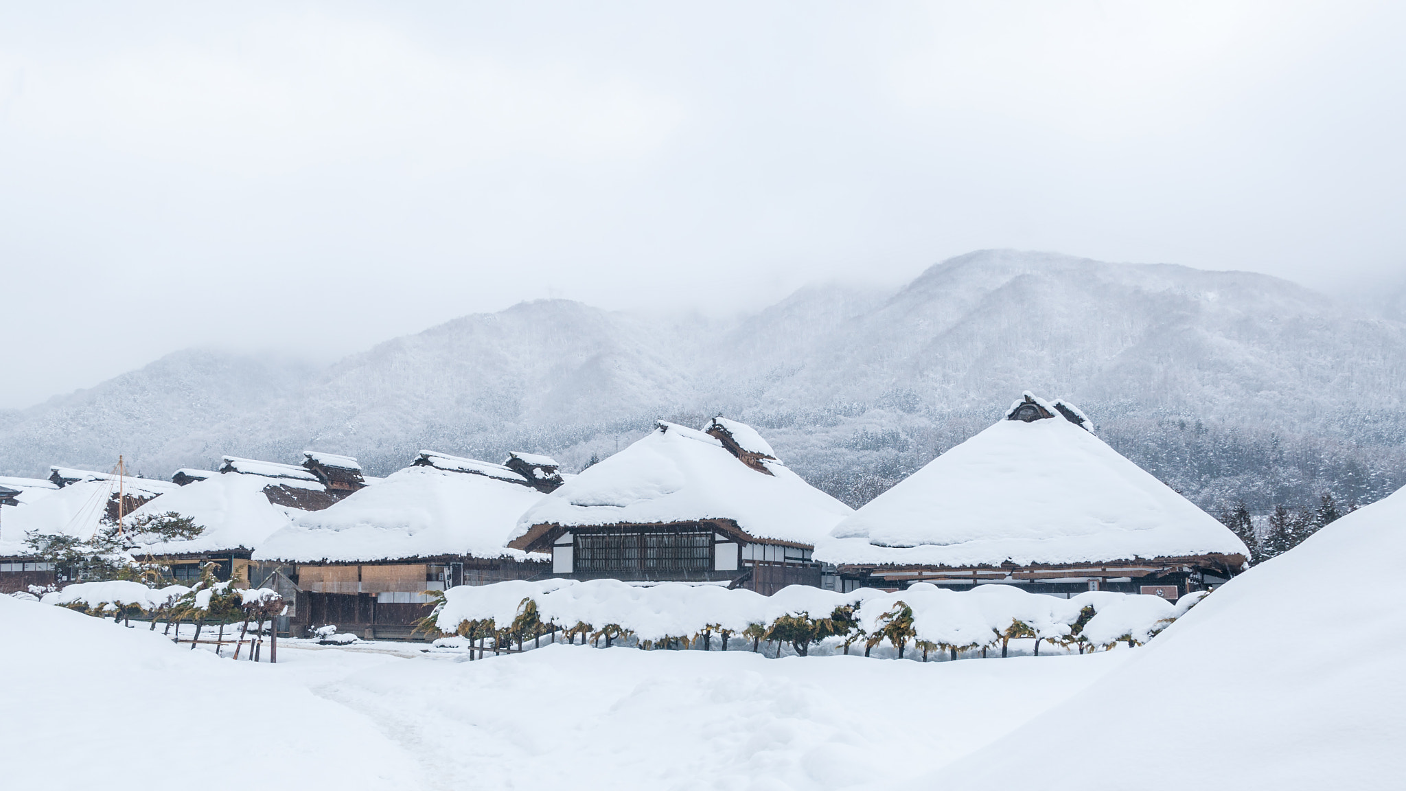 Nikon D90 sample photo. Spring snow photography