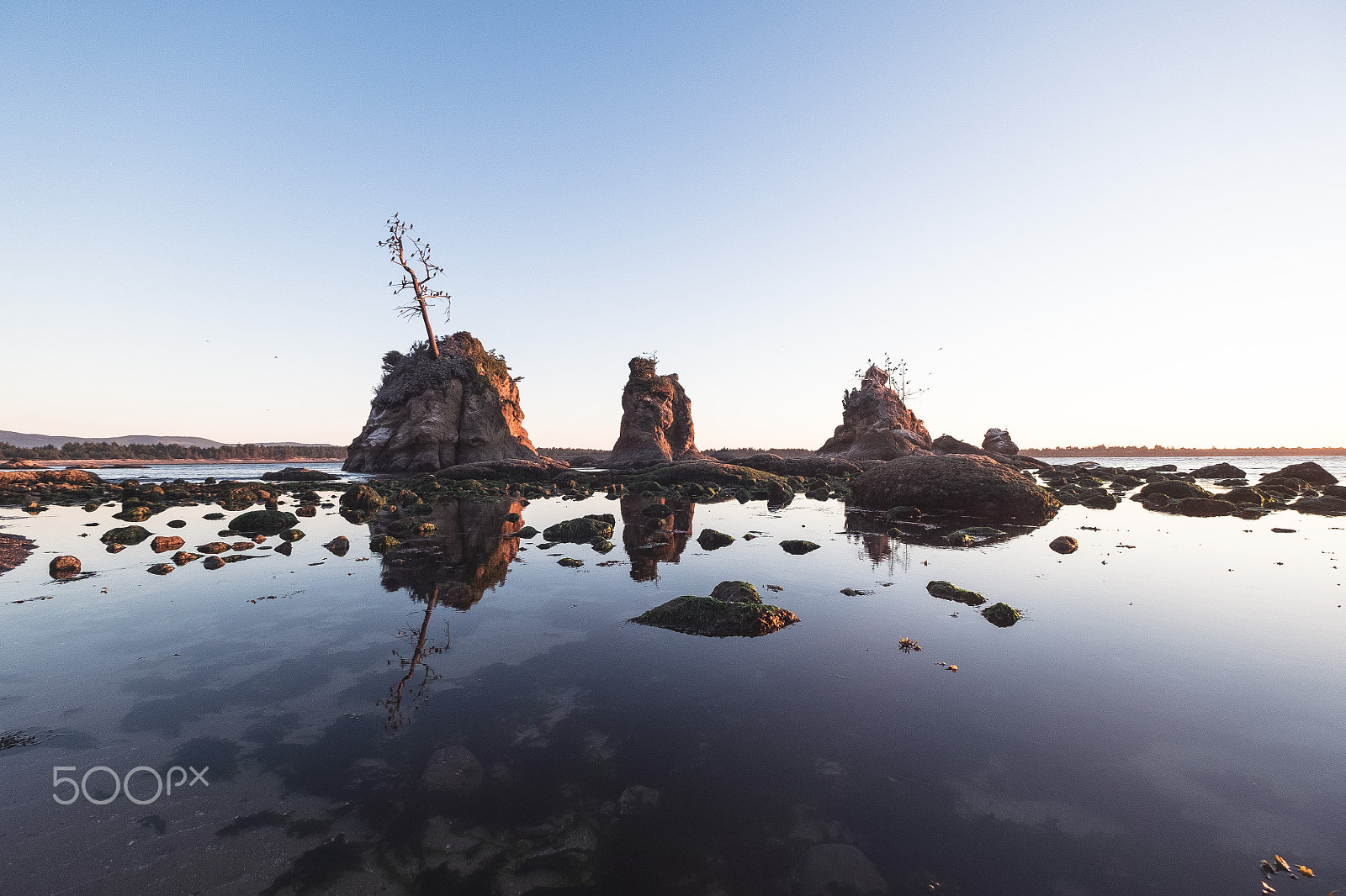 Fujifilm XF 10-24mm F4 R OIS sample photo. Three graces photography