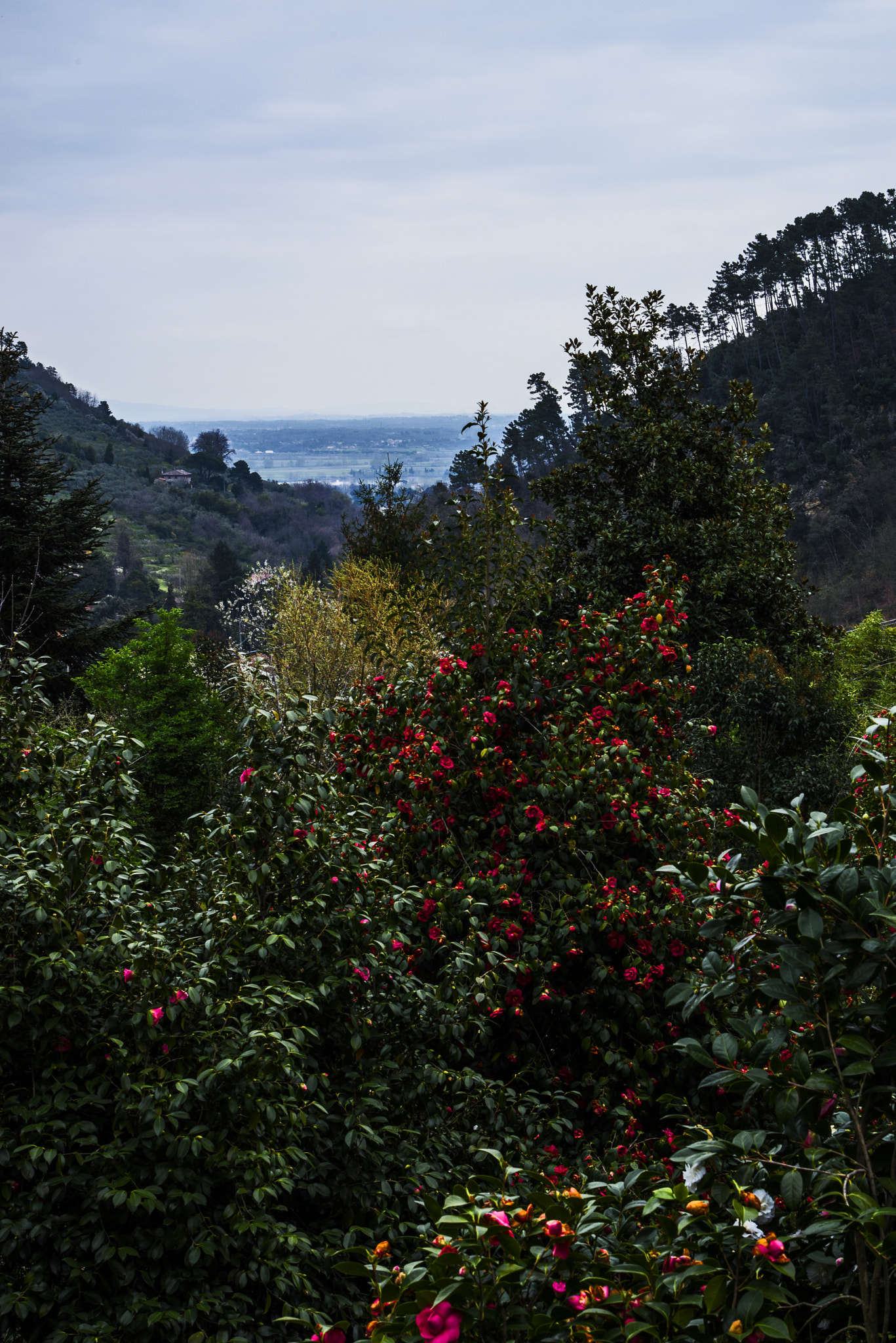 Nikon AF-S Nikkor 24-120mm F4G ED VR sample photo. Red spot photography