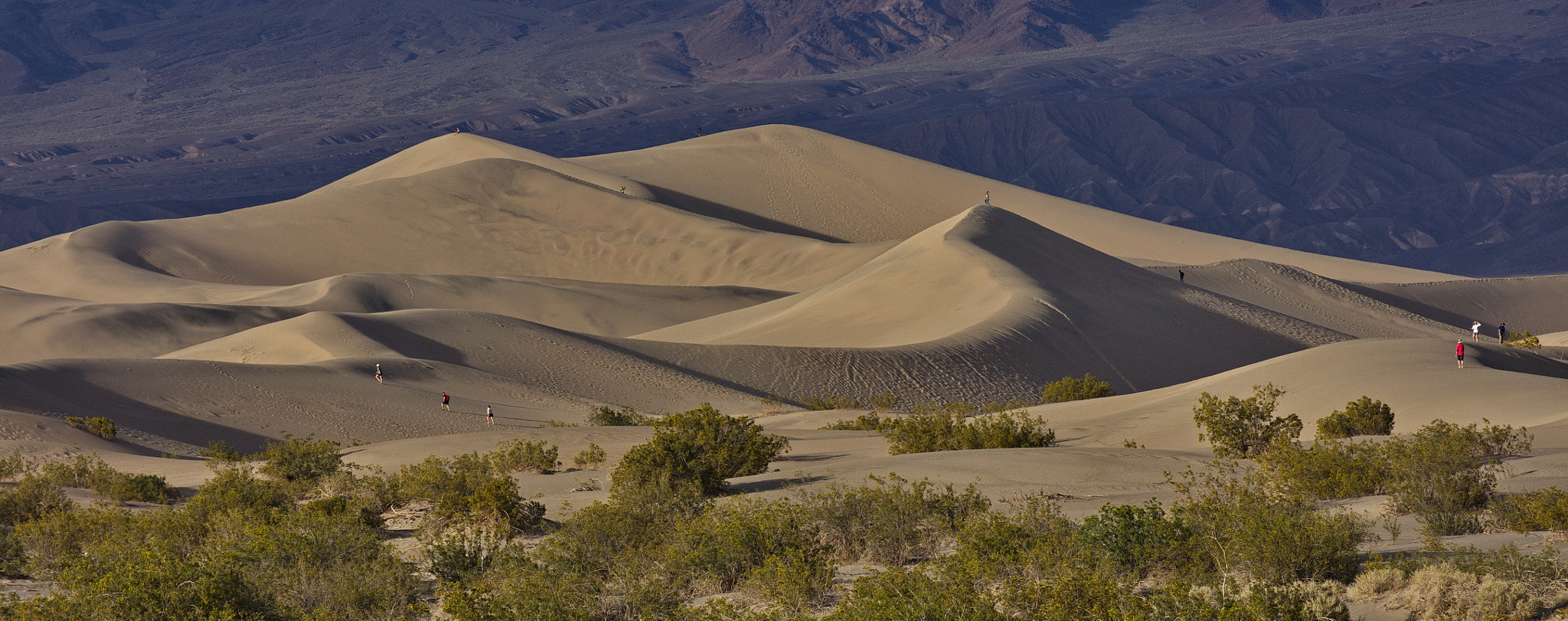 Canon EOS 5DS R + Canon EF 100-400mm F4.5-5.6L IS II USM sample photo. Fun at the dunes photography