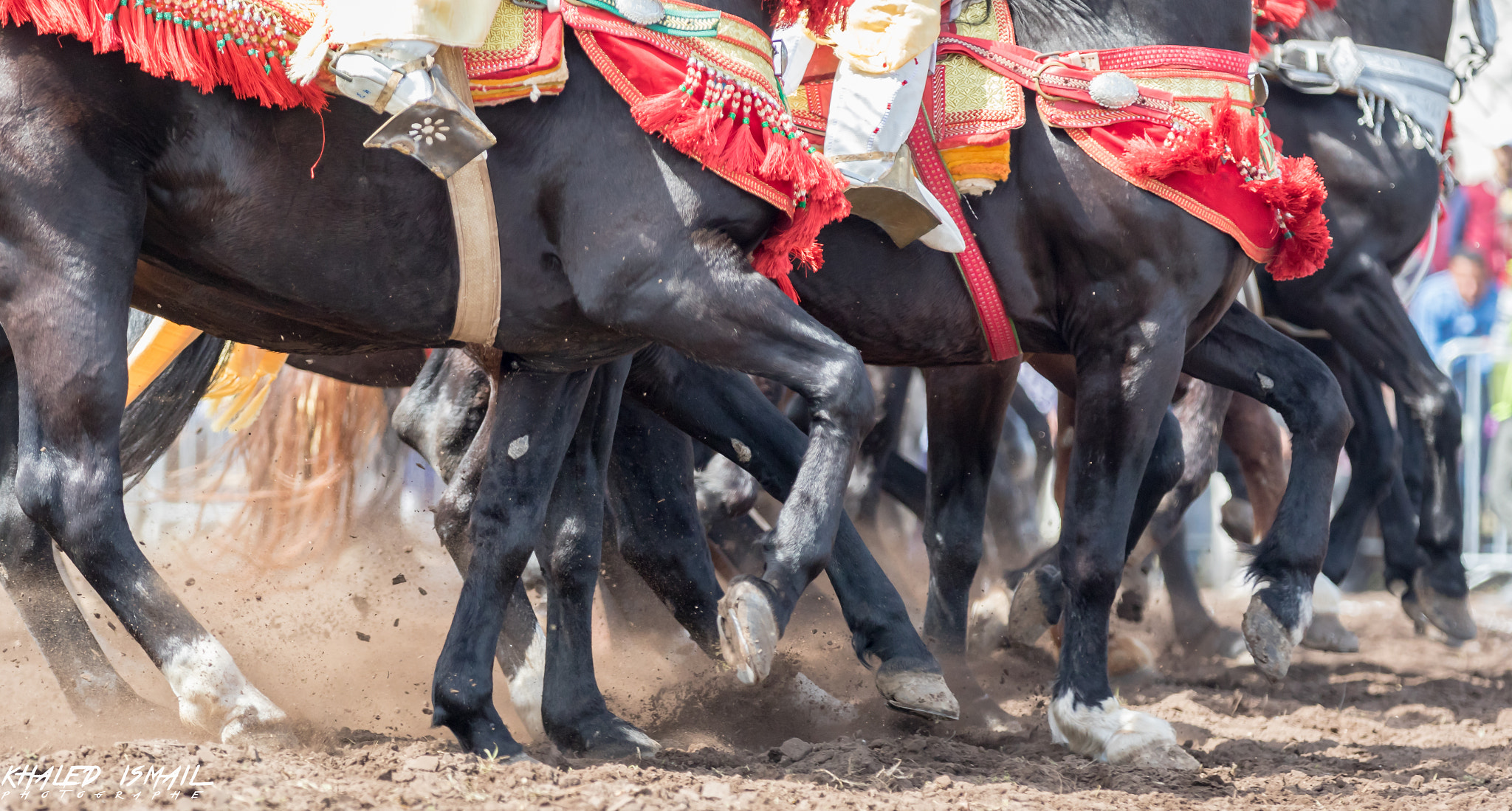 Canon EF 70-200mm F2.8L IS II USM sample photo. Tbourida maroc 2017 photography