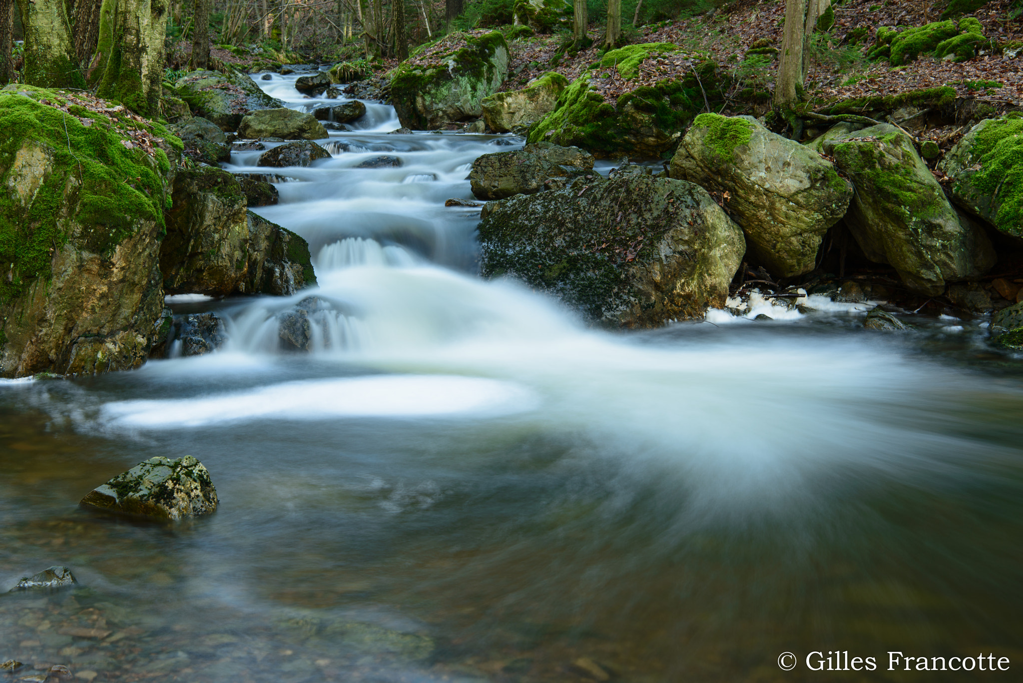 Nikon AF-S Nikkor 24-70mm F2.8E ED VR sample photo. Chefna river photography