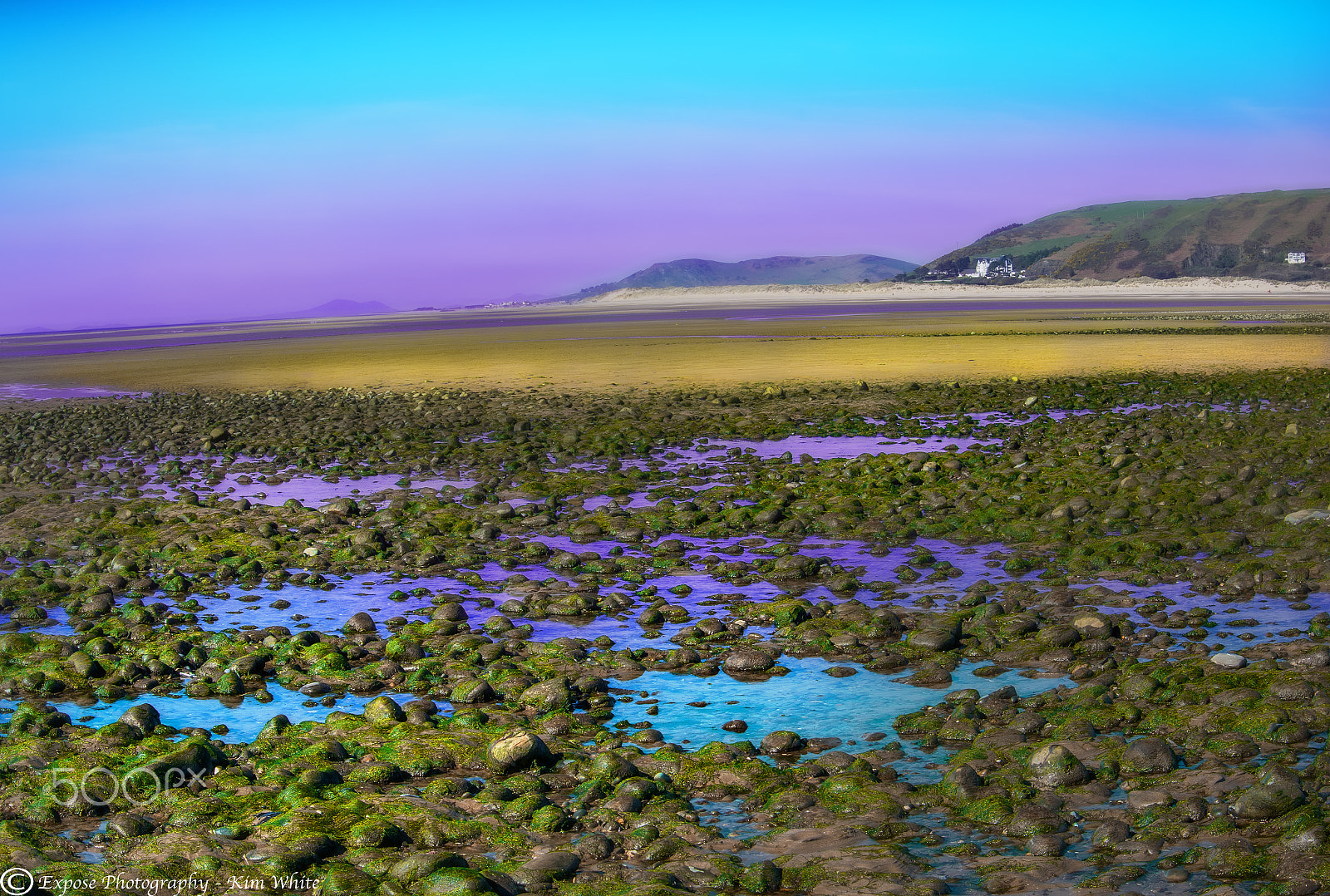 Nikon D500 sample photo. Rocks and sand photography