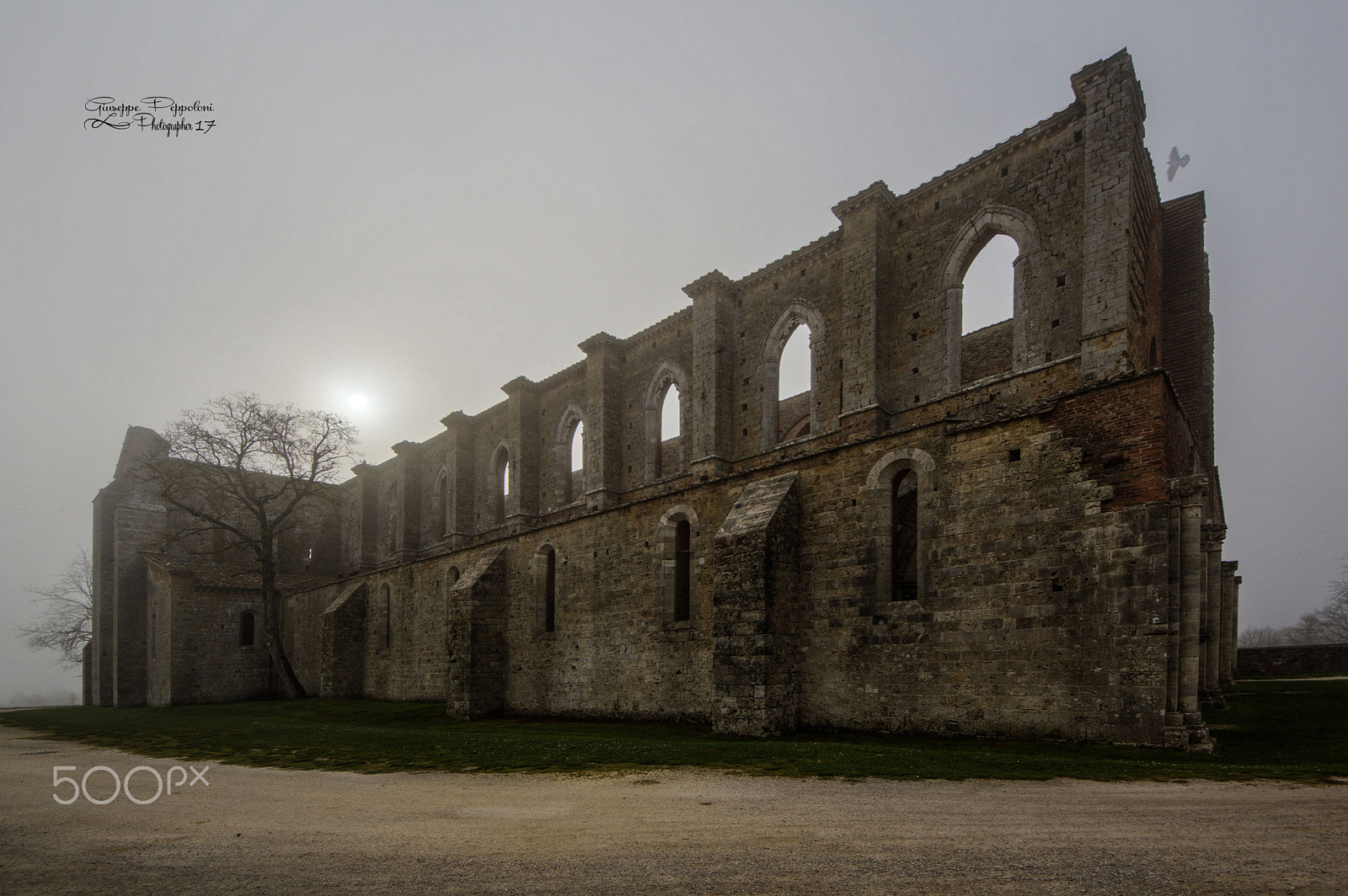 Canon EOS 60D + Sigma 8-16mm F4.5-5.6 DC HSM sample photo. Abbazia photography