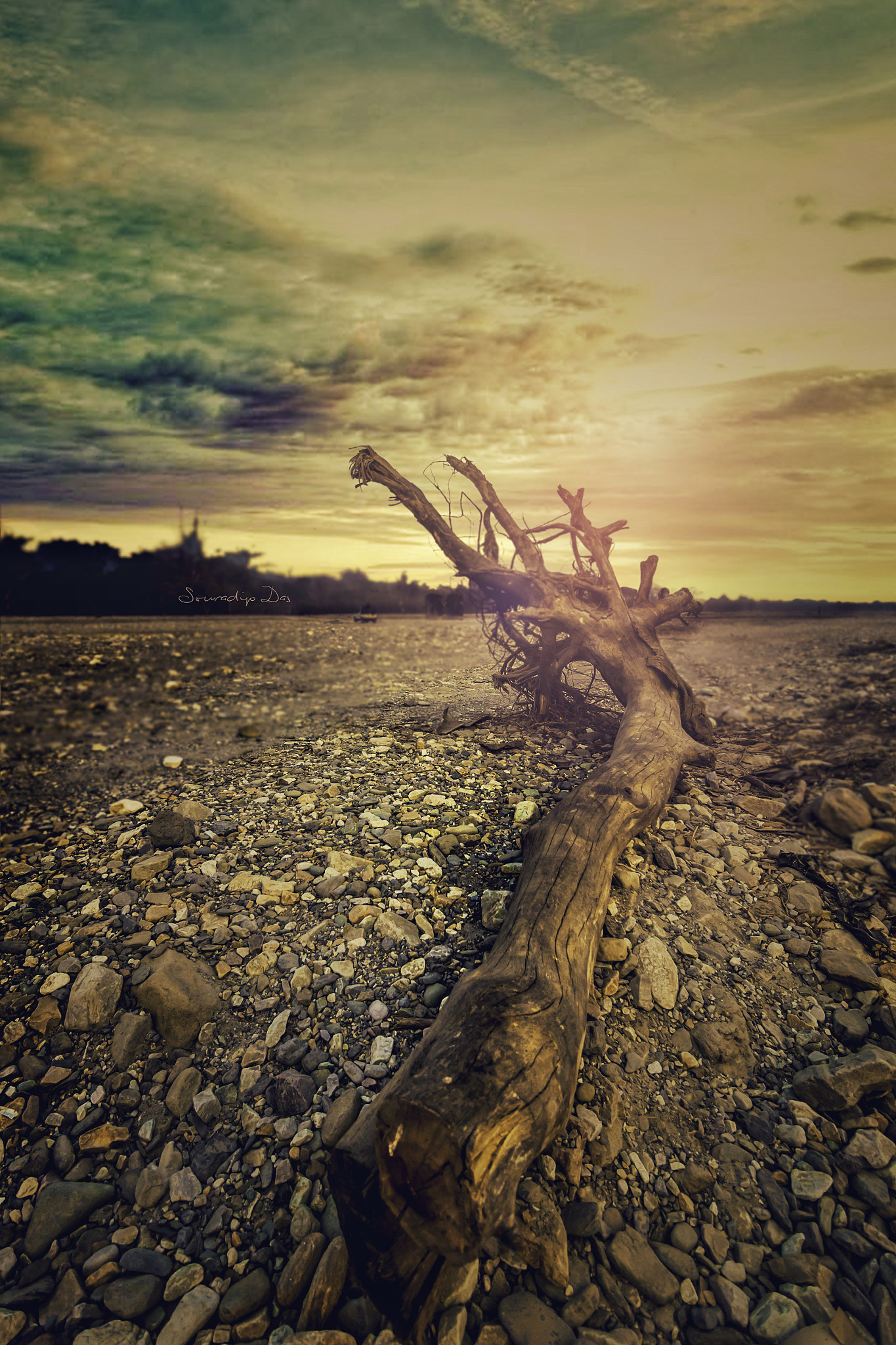 Canon EOS 60D sample photo. The dramatic affair photography