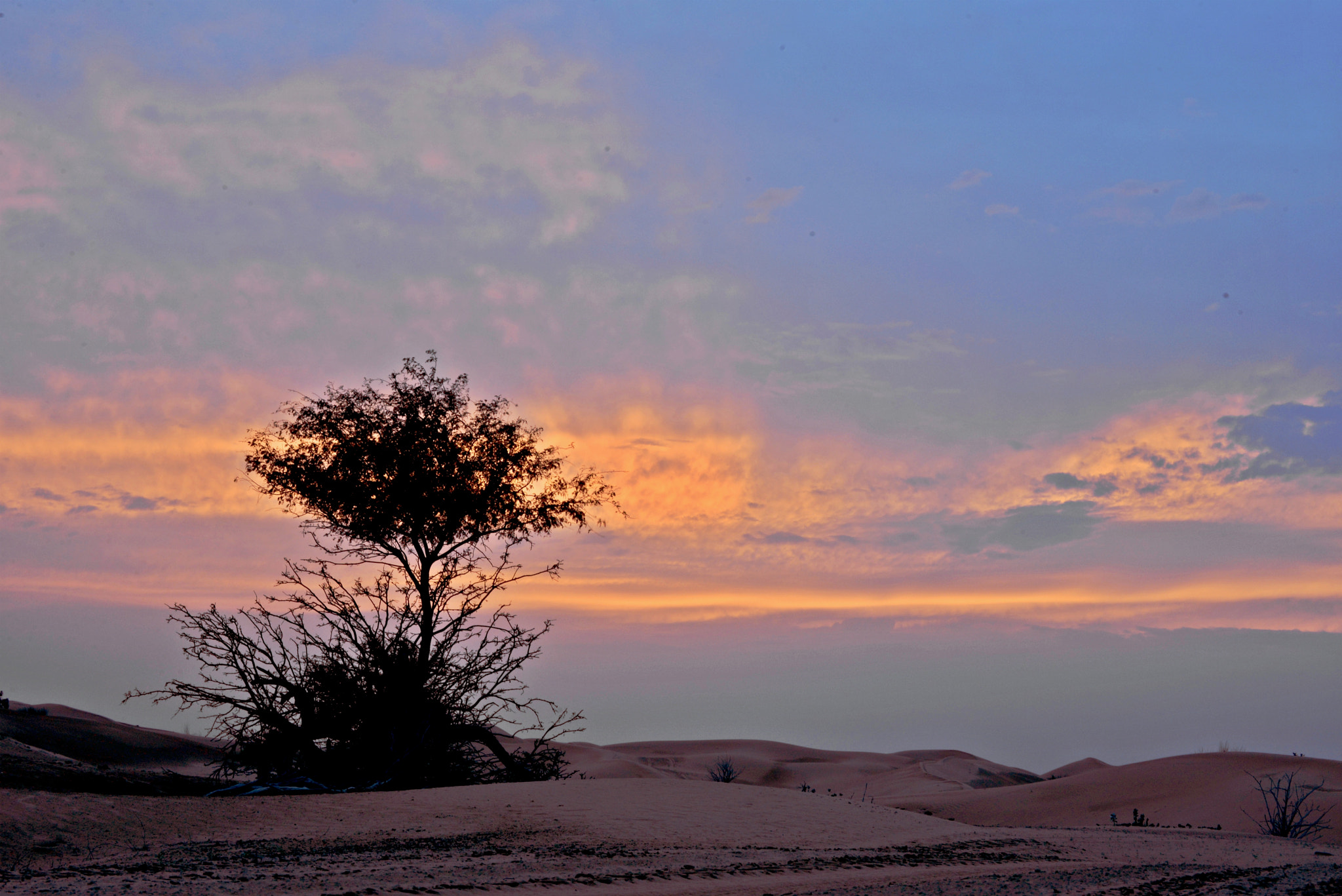 Nikon D610 sample photo. The desert twilight photography
