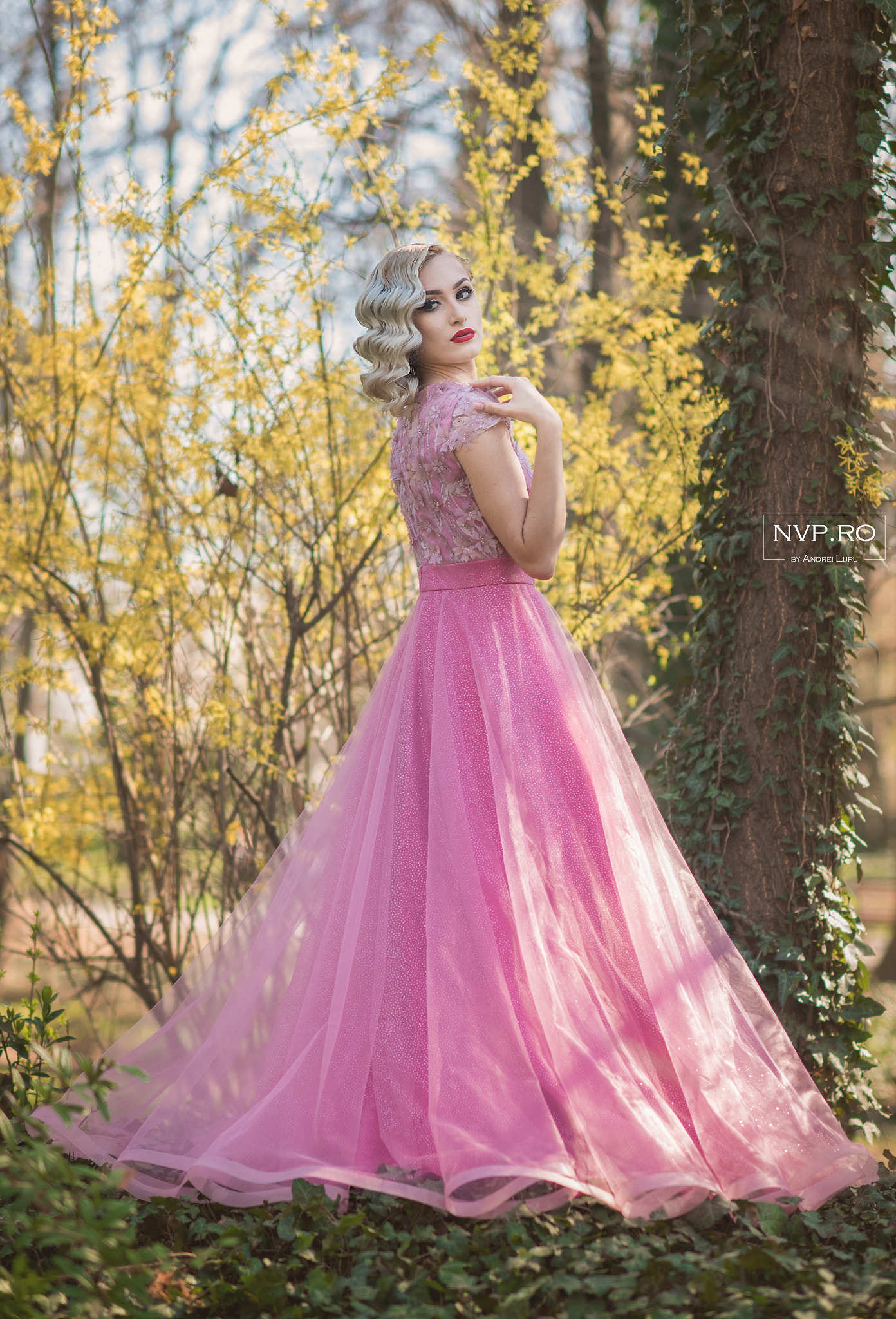 Nikon D750 + Nikon AF-S Nikkor 85mm F1.4G sample photo. Nvp_5138-1.jpg photography