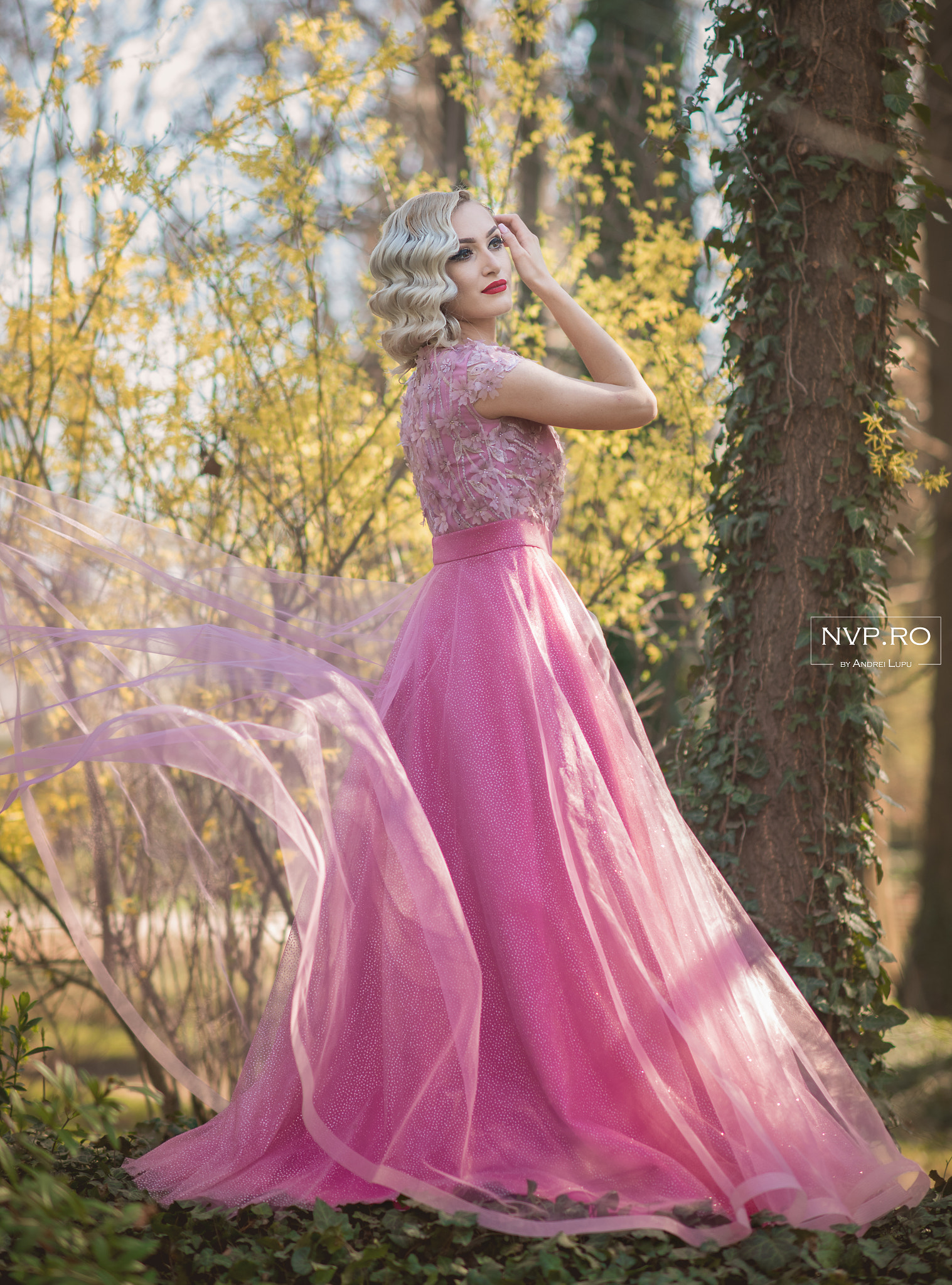 Nikon D750 + Nikon AF-S Nikkor 85mm F1.4G sample photo. Nvp_5155-1.jpg photography