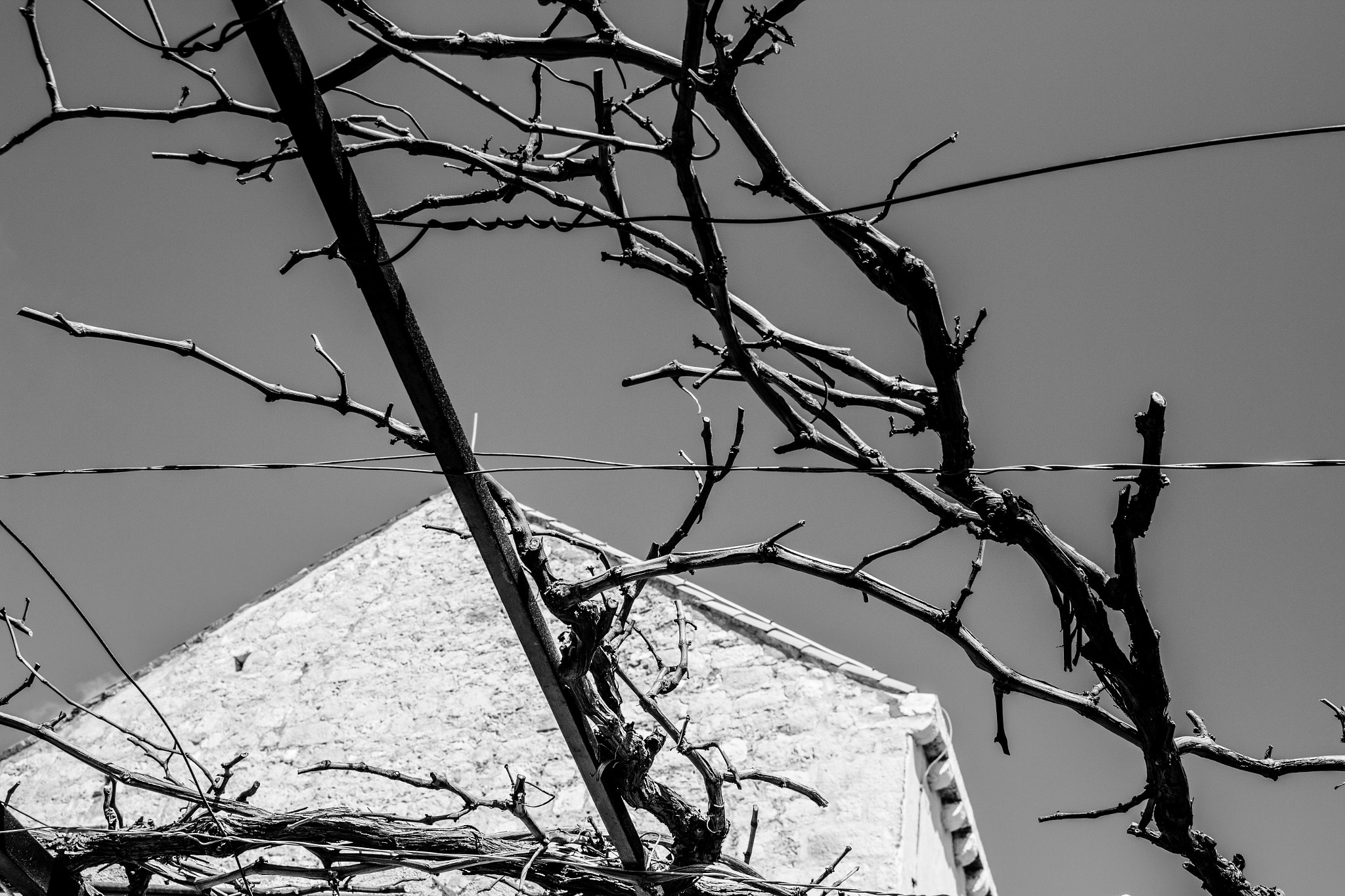 Canon EF-S 17-55mm F2.8 IS USM sample photo. Bleak // dubrovnik photography