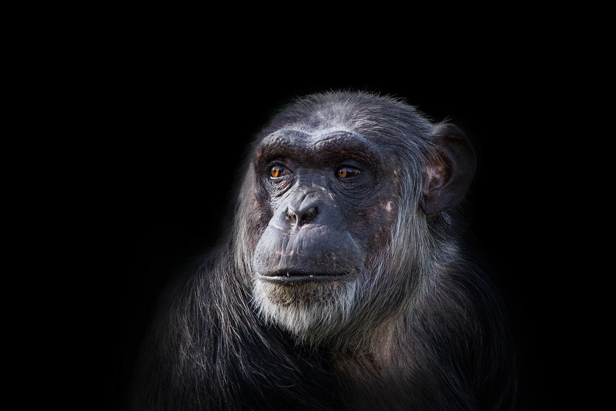 150-600mm F5-6.3 DG OS HSM | Contemporary 015 sample photo. Simply clever... photography