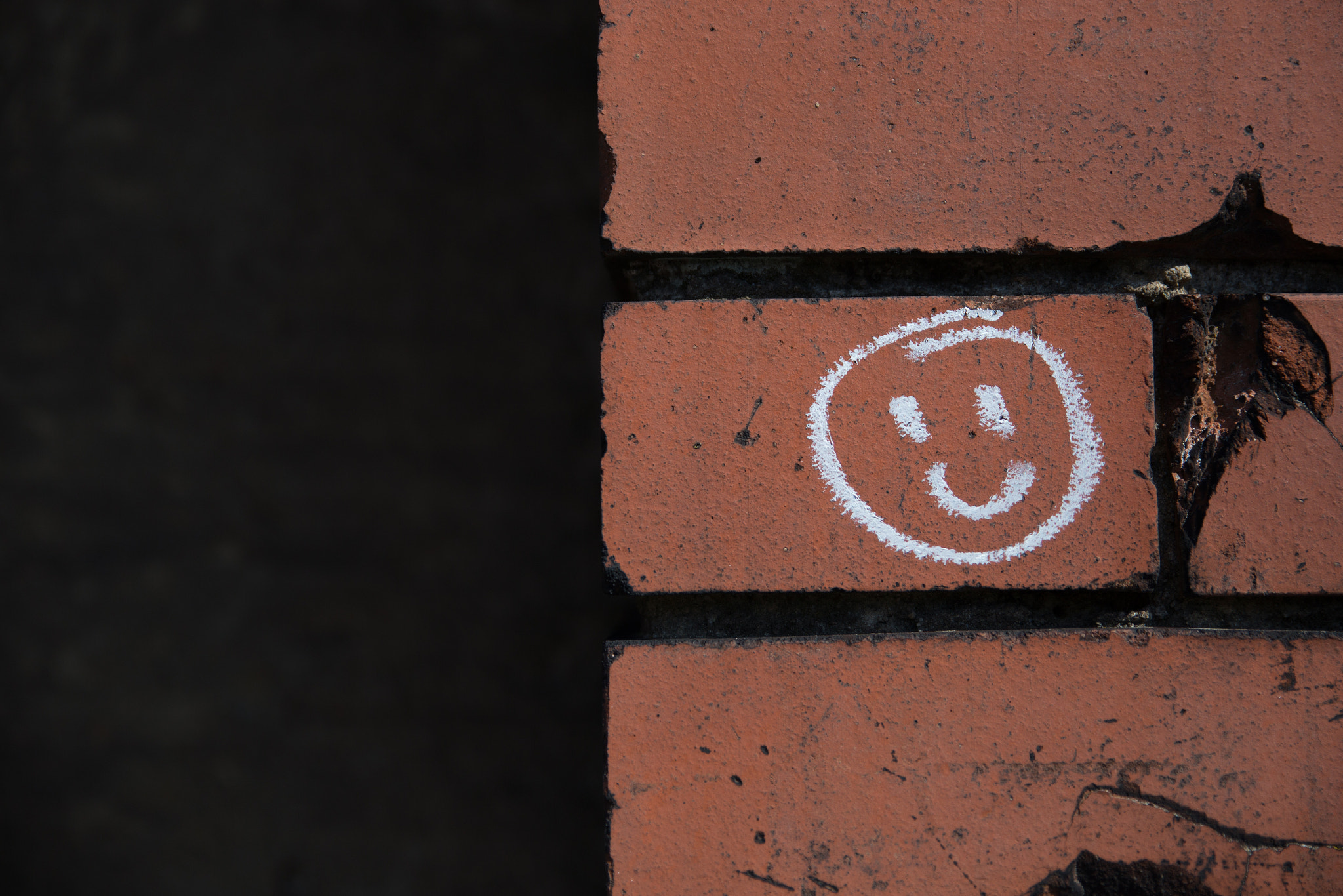Canon EOS 6D + Sigma 24-70mm F2.8 EX DG Macro sample photo. Img photography