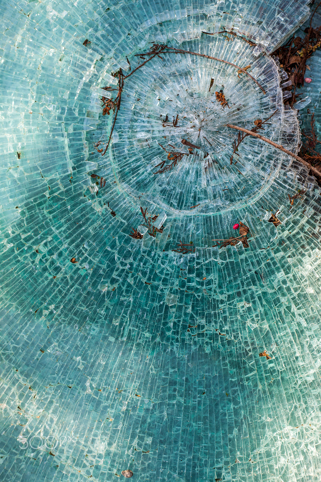 Canon EOS 5D + Canon EF 50mm F1.8 II sample photo. Broken glass photography