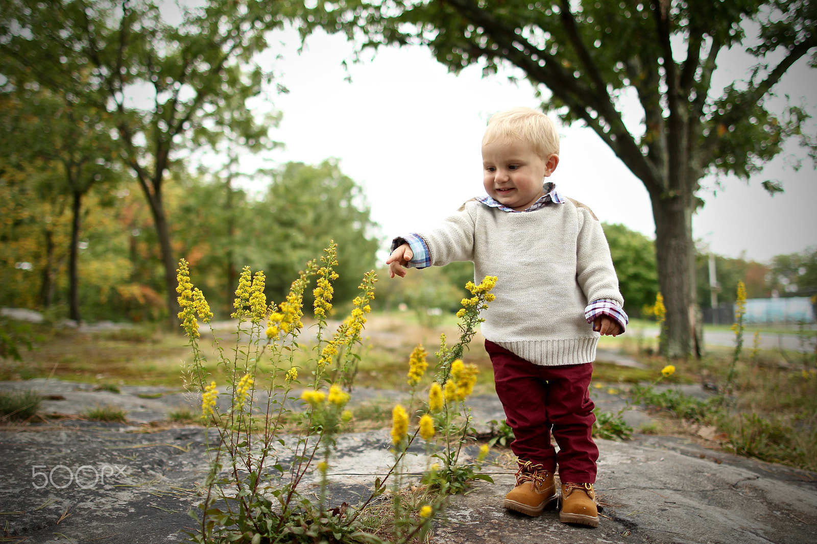 Canon EF 24mm F1.4L II USM sample photo. Img photography