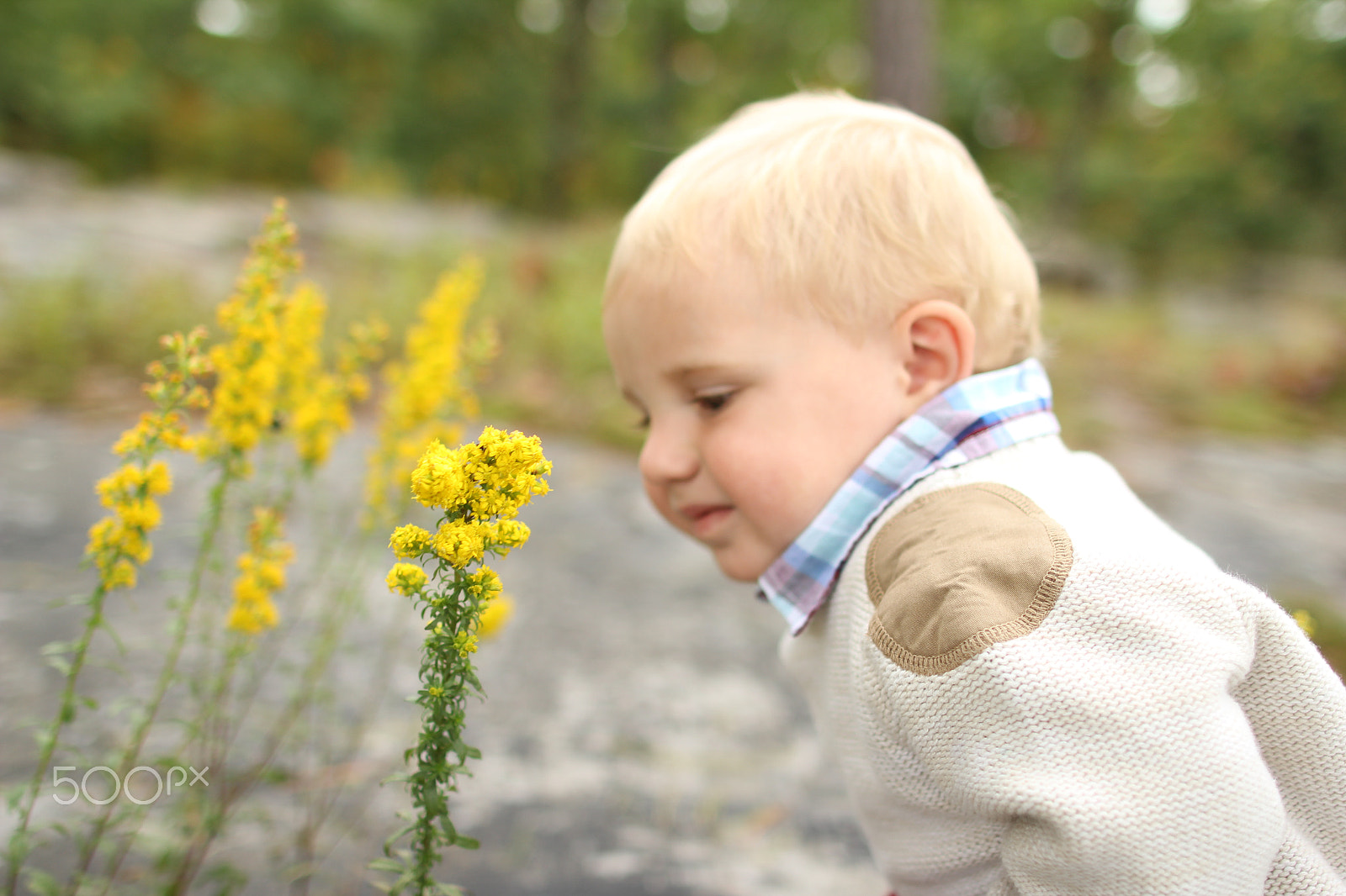 Canon EF 24mm F1.4L II USM sample photo. Img photography