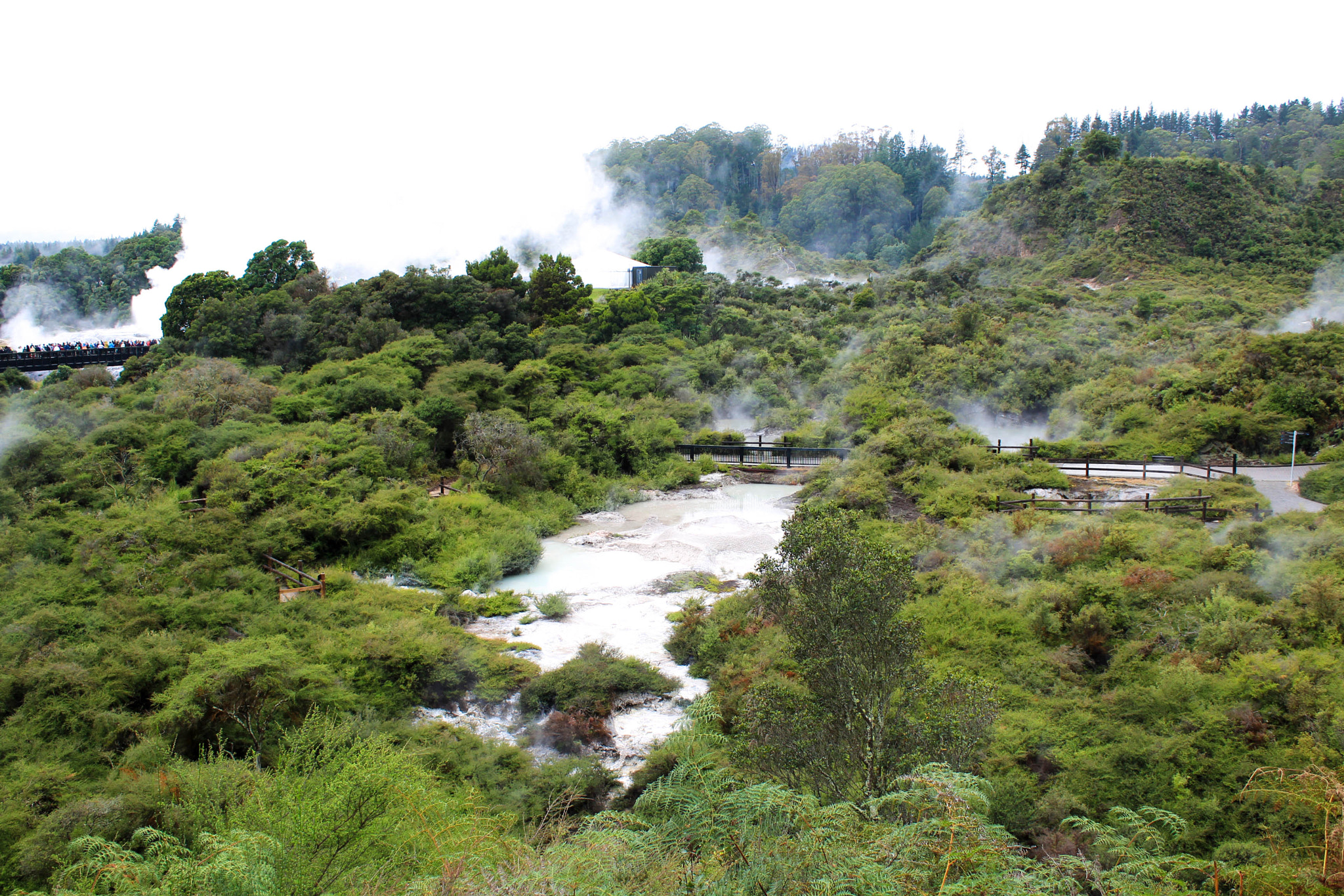 Canon EOS 1200D (EOS Rebel T5 / EOS Kiss X70 / EOS Hi) sample photo. The smoky forest photography