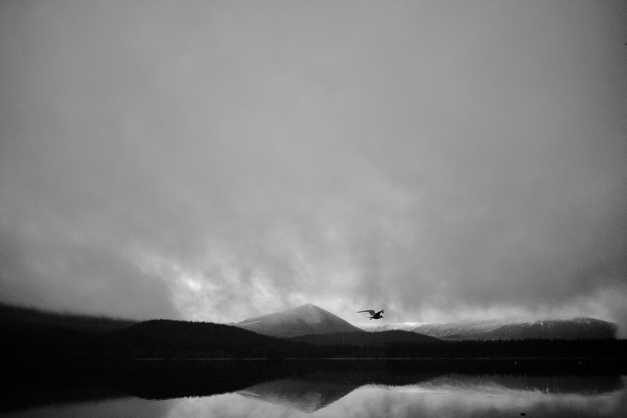 Canon EF-M 22mm F2 STM sample photo. Bird on lake photography