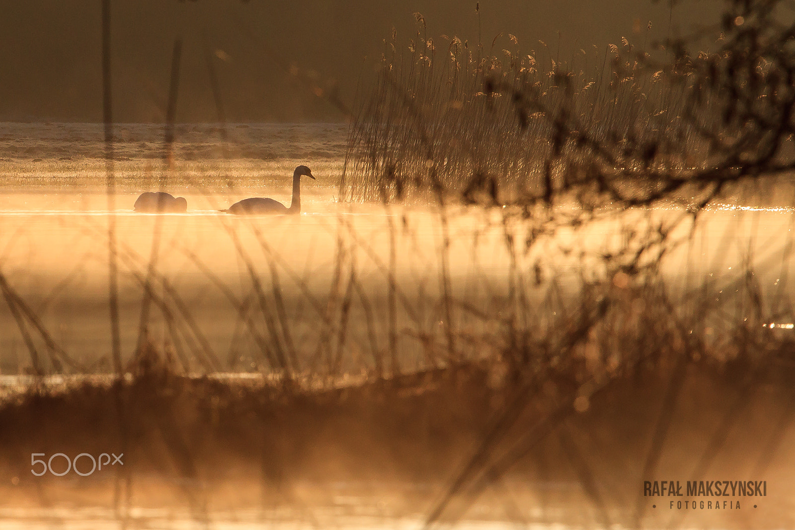 Canon EOS 7D sample photo. River drwęca photography