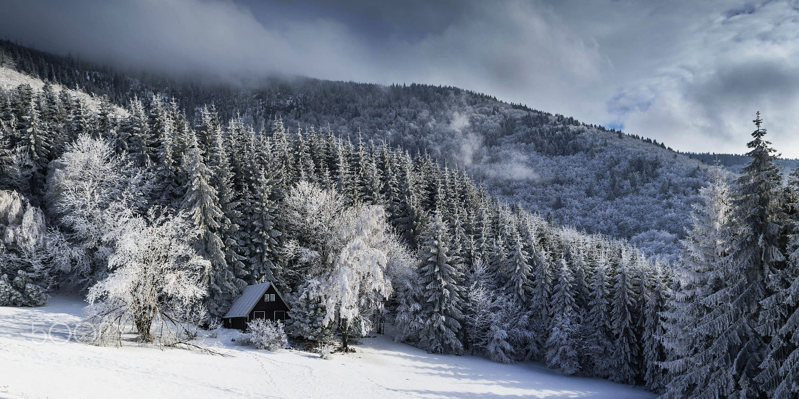 Nikon D5500 sample photo. Frozen cottage photography