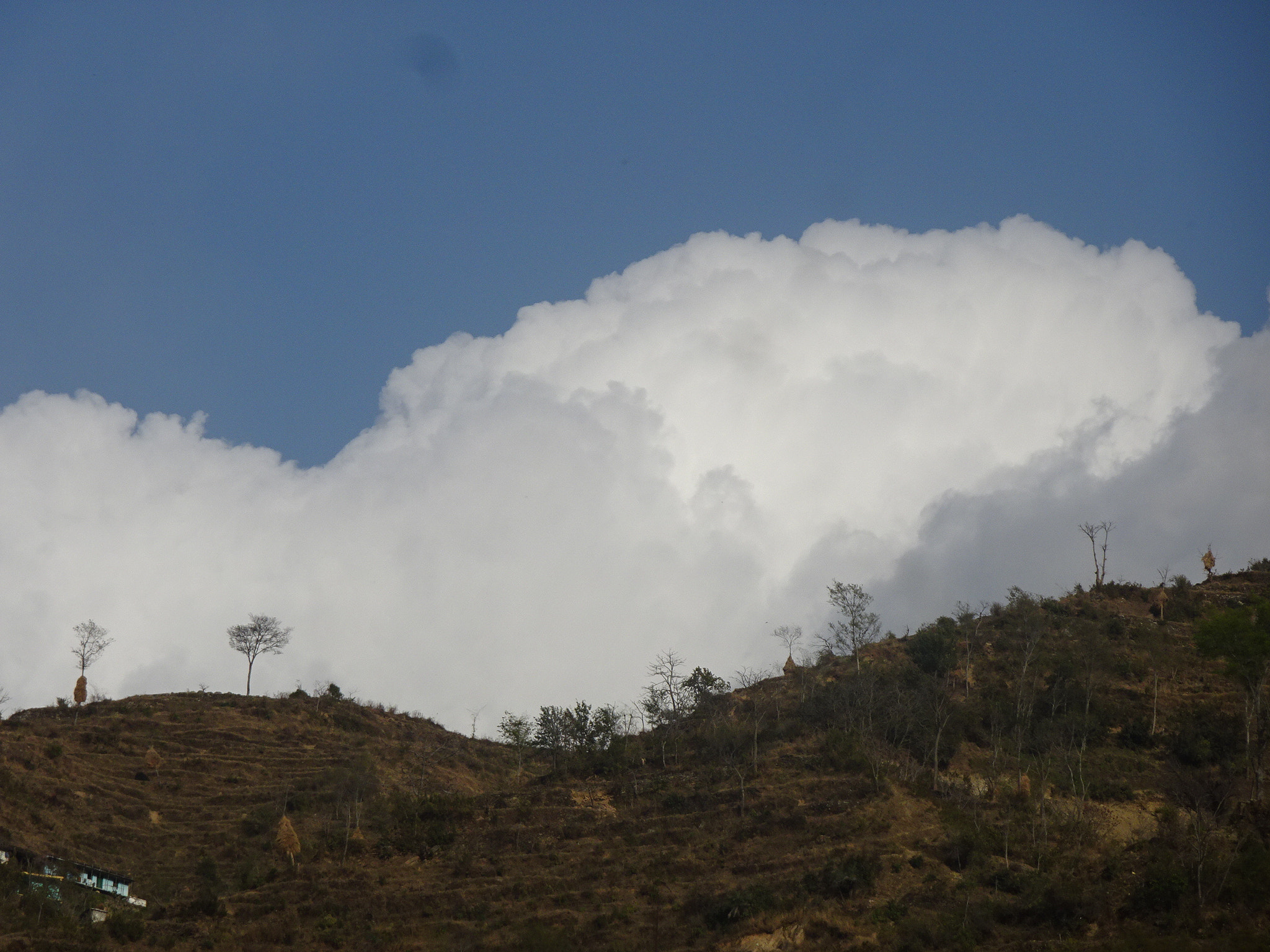 Sony Cyber-shot DSC-WX500 sample photo. Pure white clouds...no polution photography