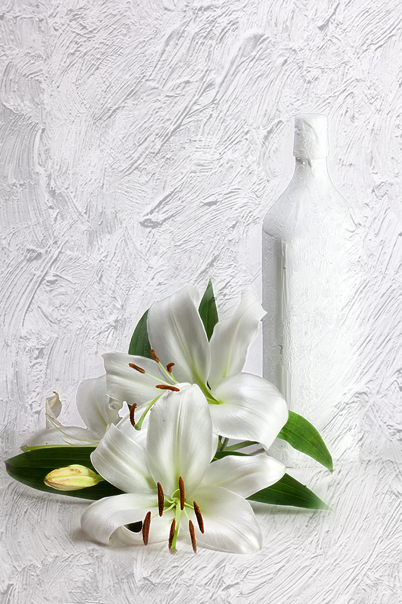 Canon EF 100mm F2.8 Macro USM sample photo. Pure white (2) photography