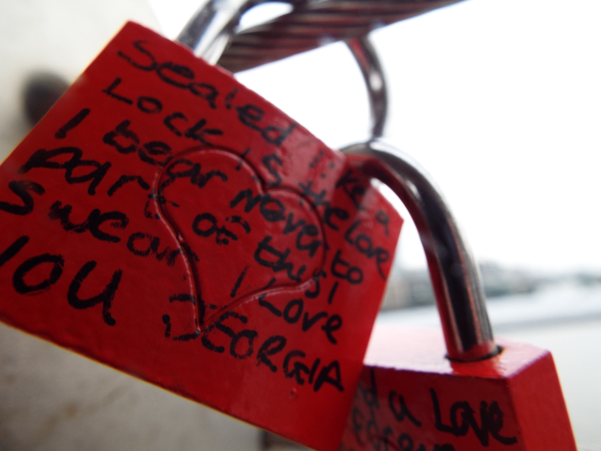 Fujifilm FinePix S8500 sample photo. Love locks photography