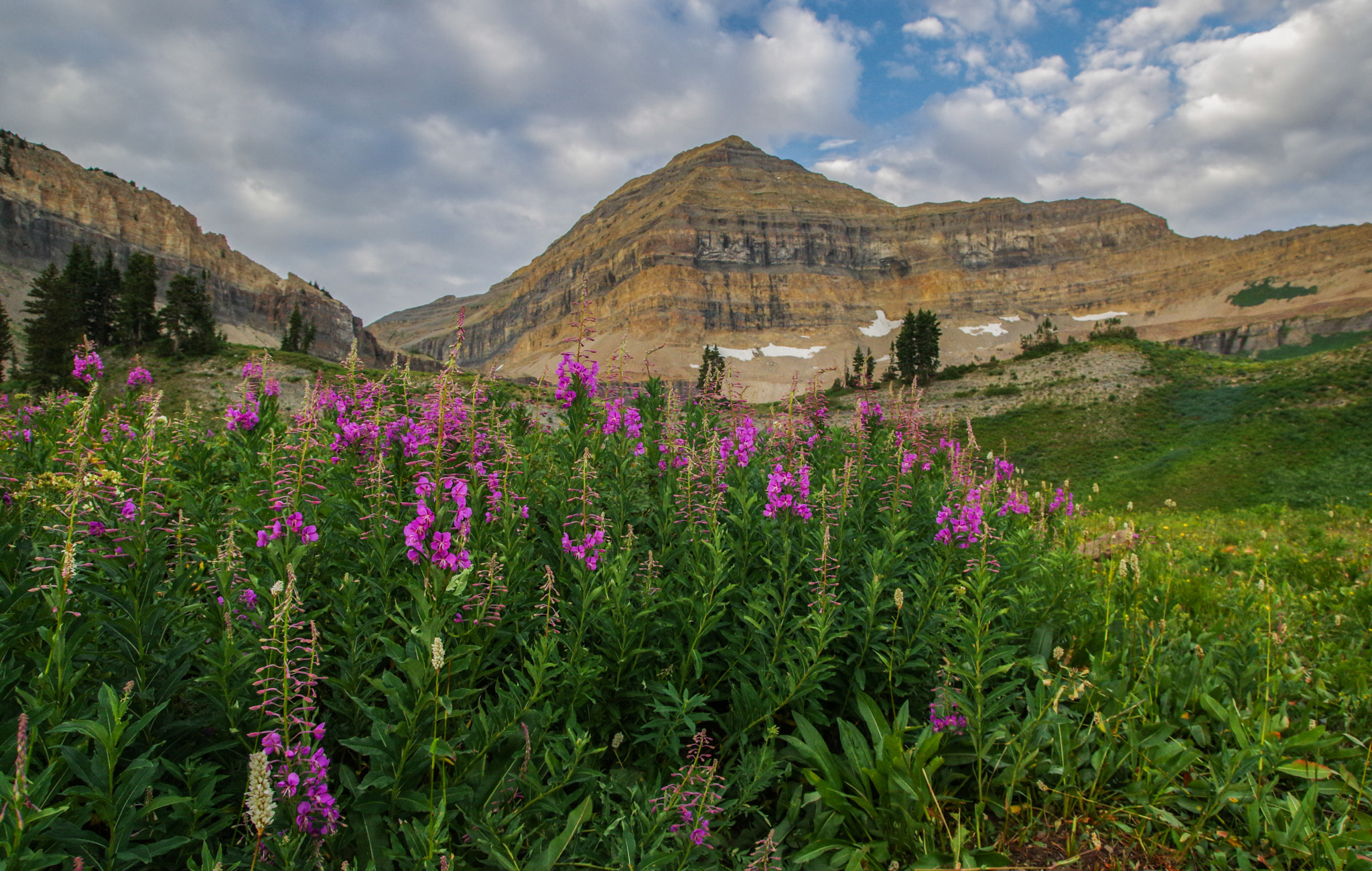 Pentax K-3 sample photo. Timpanogos basin photography