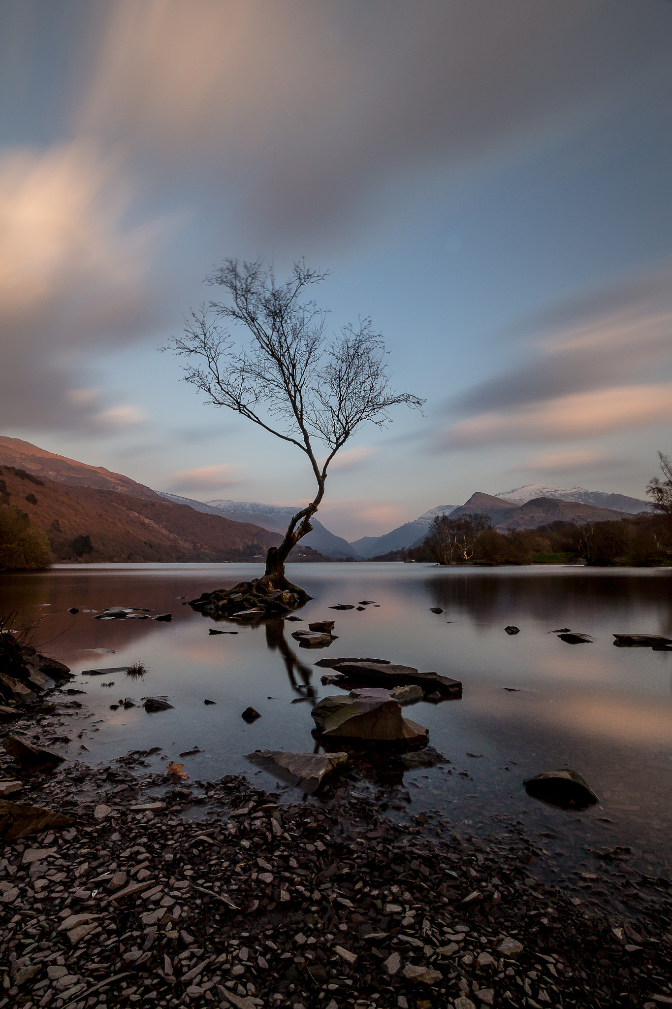 Canon EOS 700D (EOS Rebel T5i / EOS Kiss X7i) + Canon EF-S 10-22mm F3.5-4.5 USM sample photo. Lonely tree, llanberis photography