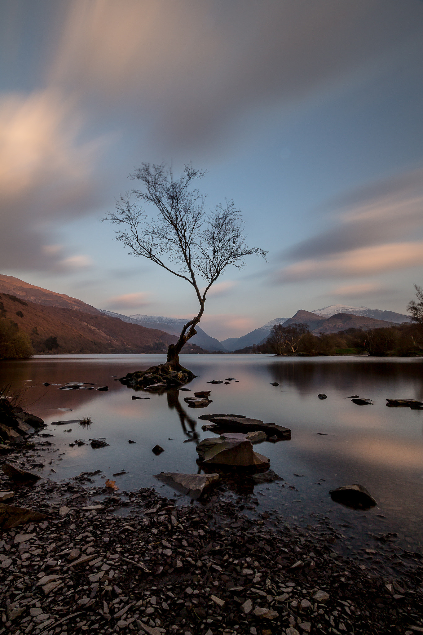 Canon EF-S 10-22mm F3.5-4.5 USM sample photo. Lonely tree, llanberis photography